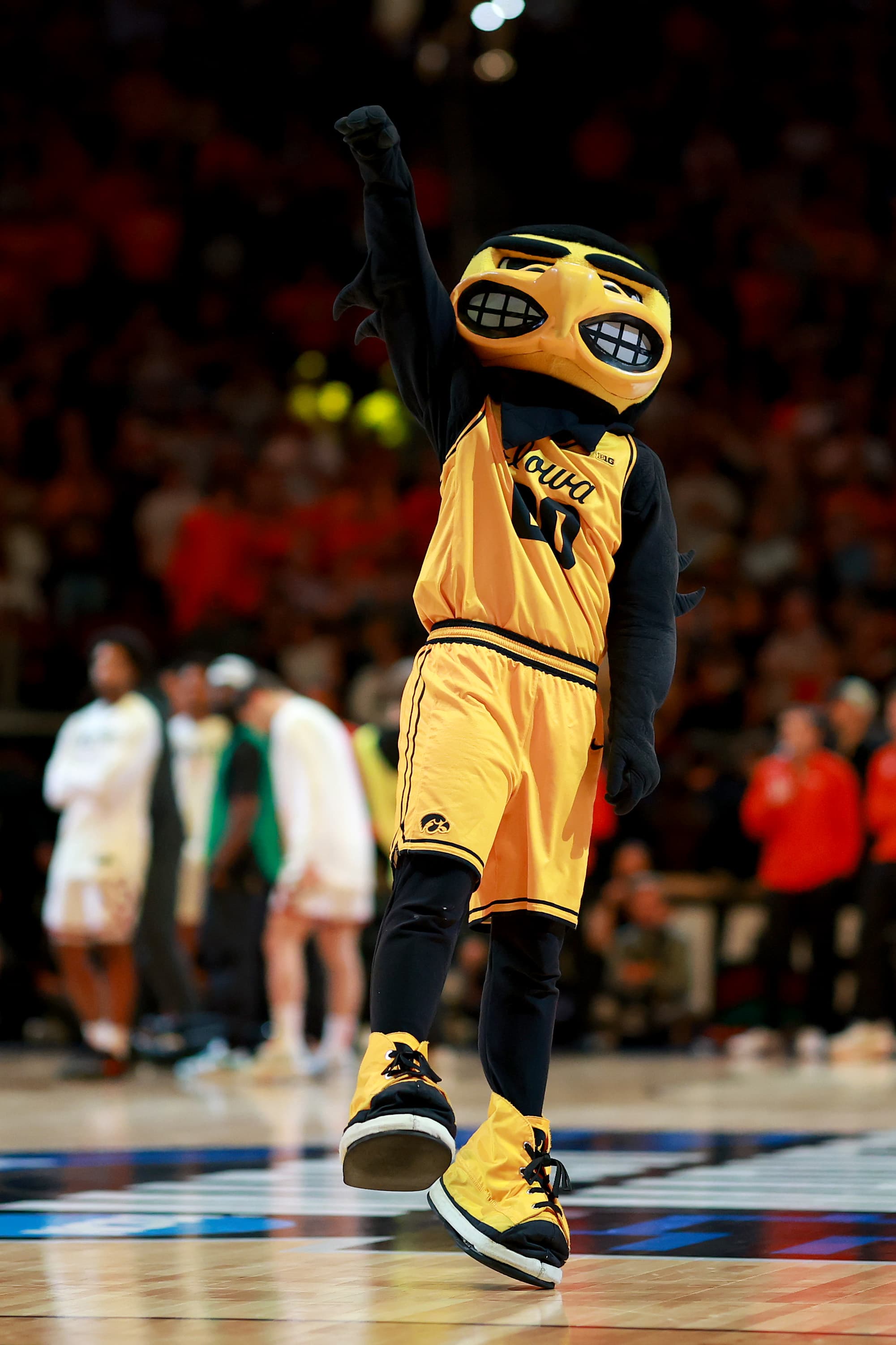 Iowa Basketball: Can McCollum Meet Expectations in Year 2at Iowa?