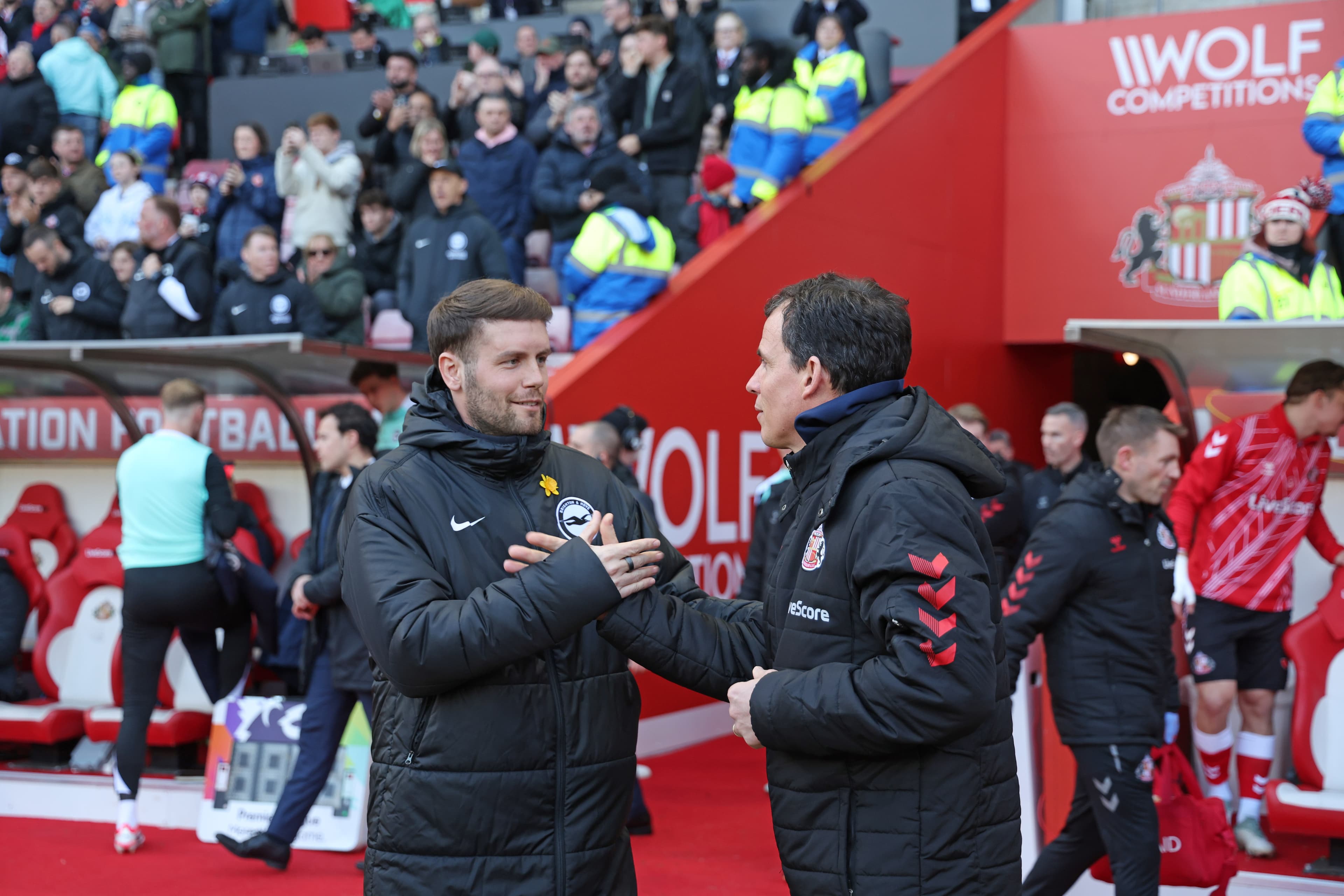 New Headline: Sunderland Triumphs as Brighton's Error Slams Roast Squad