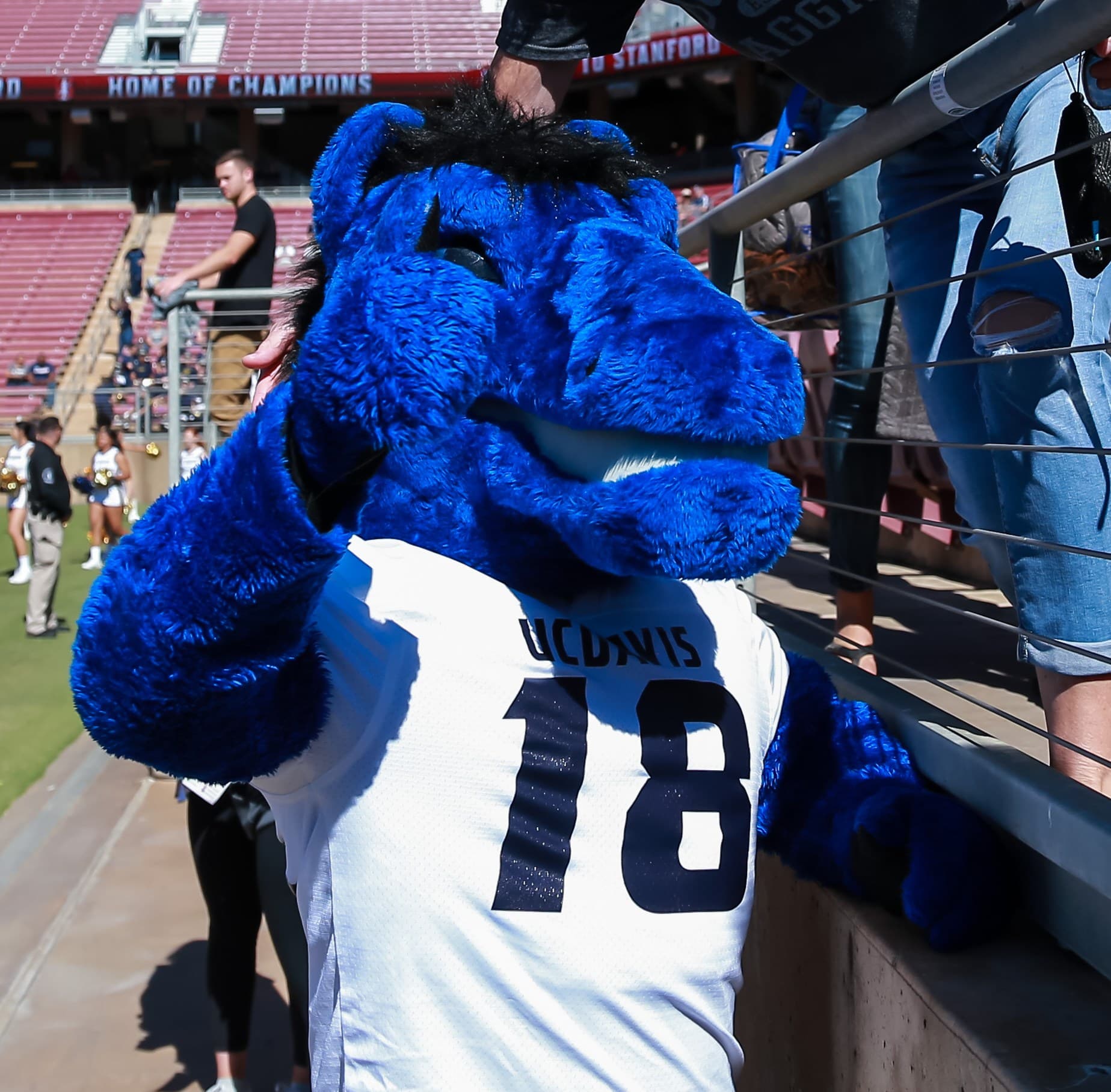 Marquette Women’s Lacrosse Preview: vs UC Davis