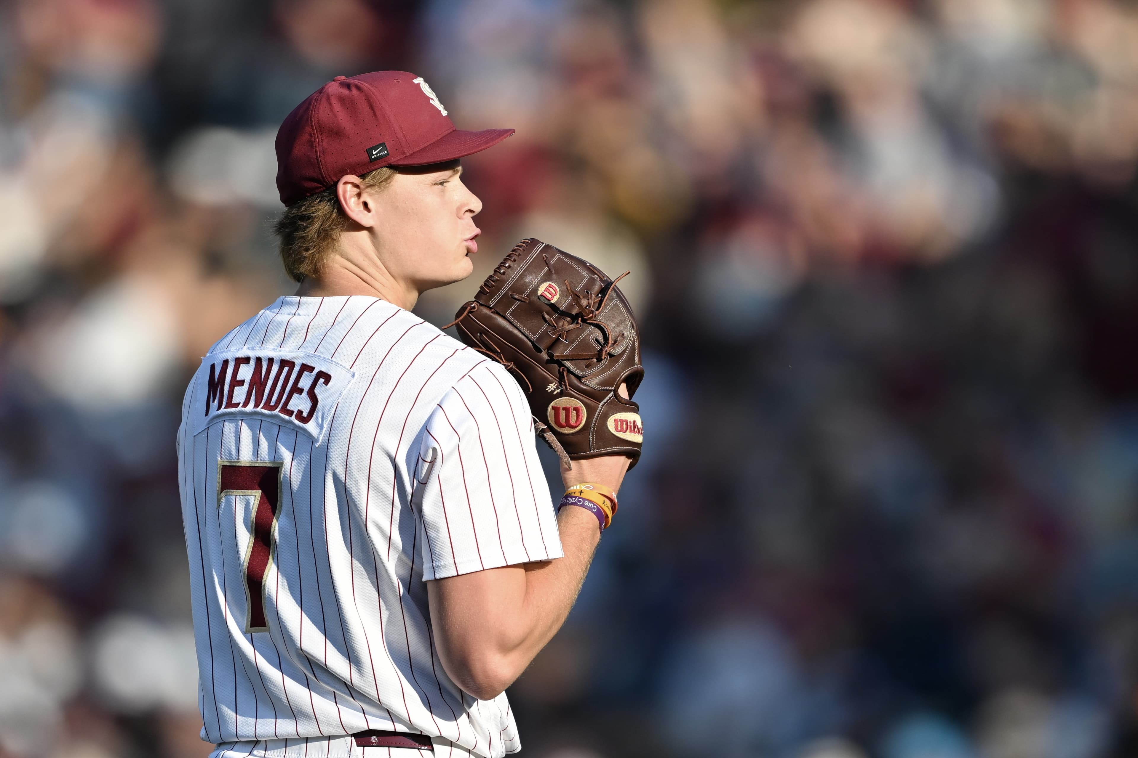 No. 14 FSU baseball takes on Pitt: Preview, how to watch, game thread