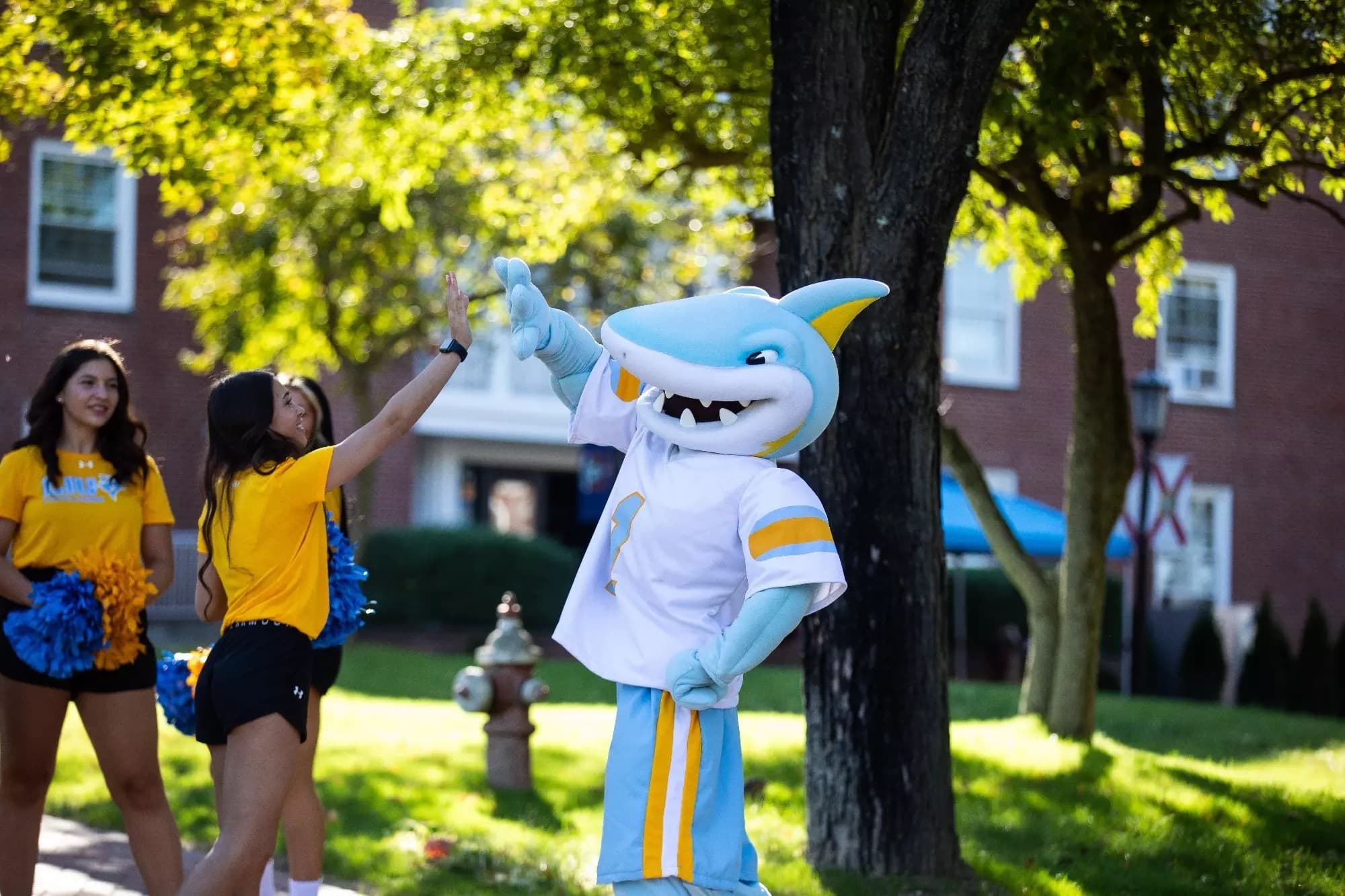 NCAA Tournament Friday afternoon open thread