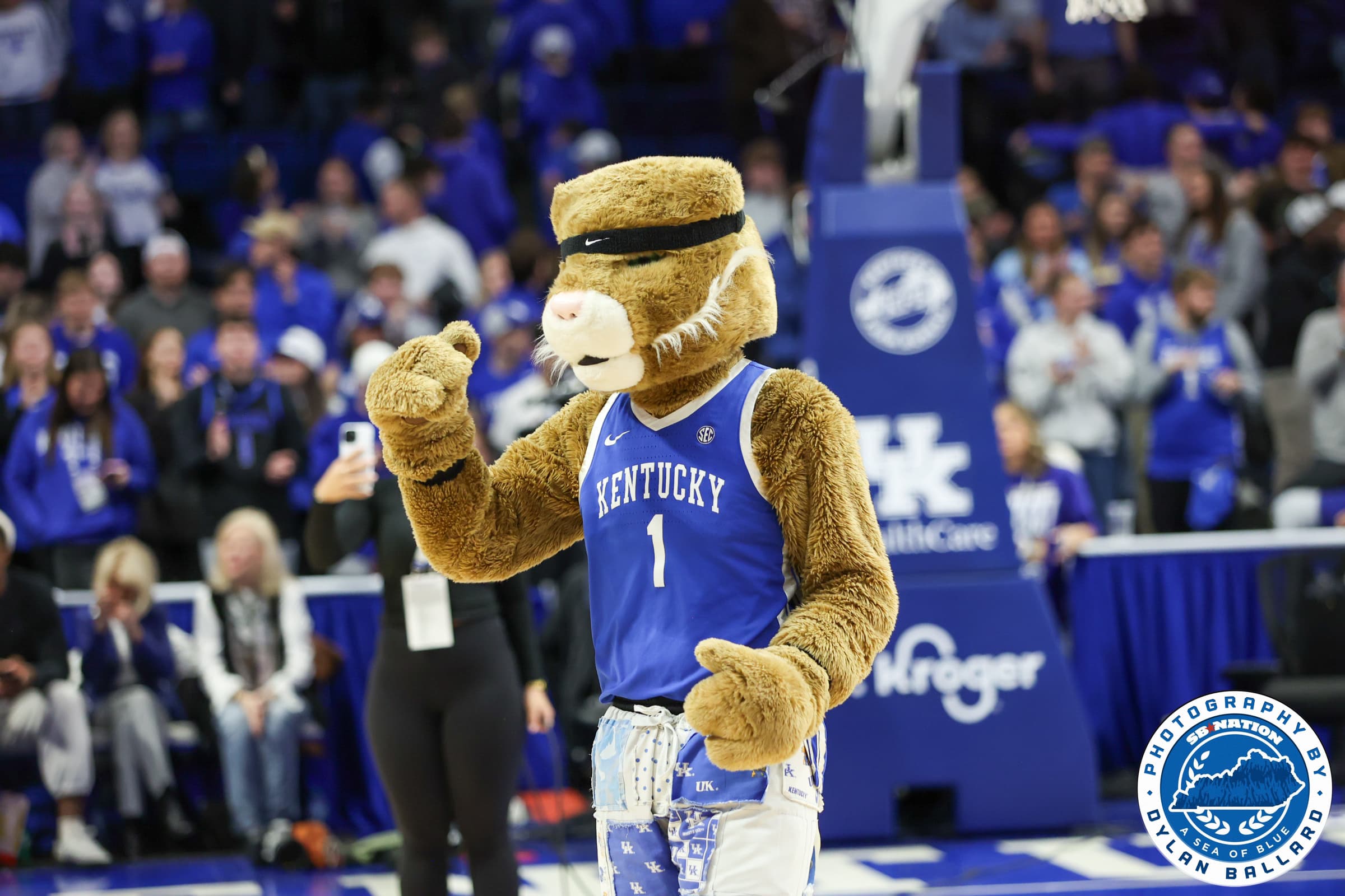 Kentucky Wildcats Secure Formula 1 World Championship Title!