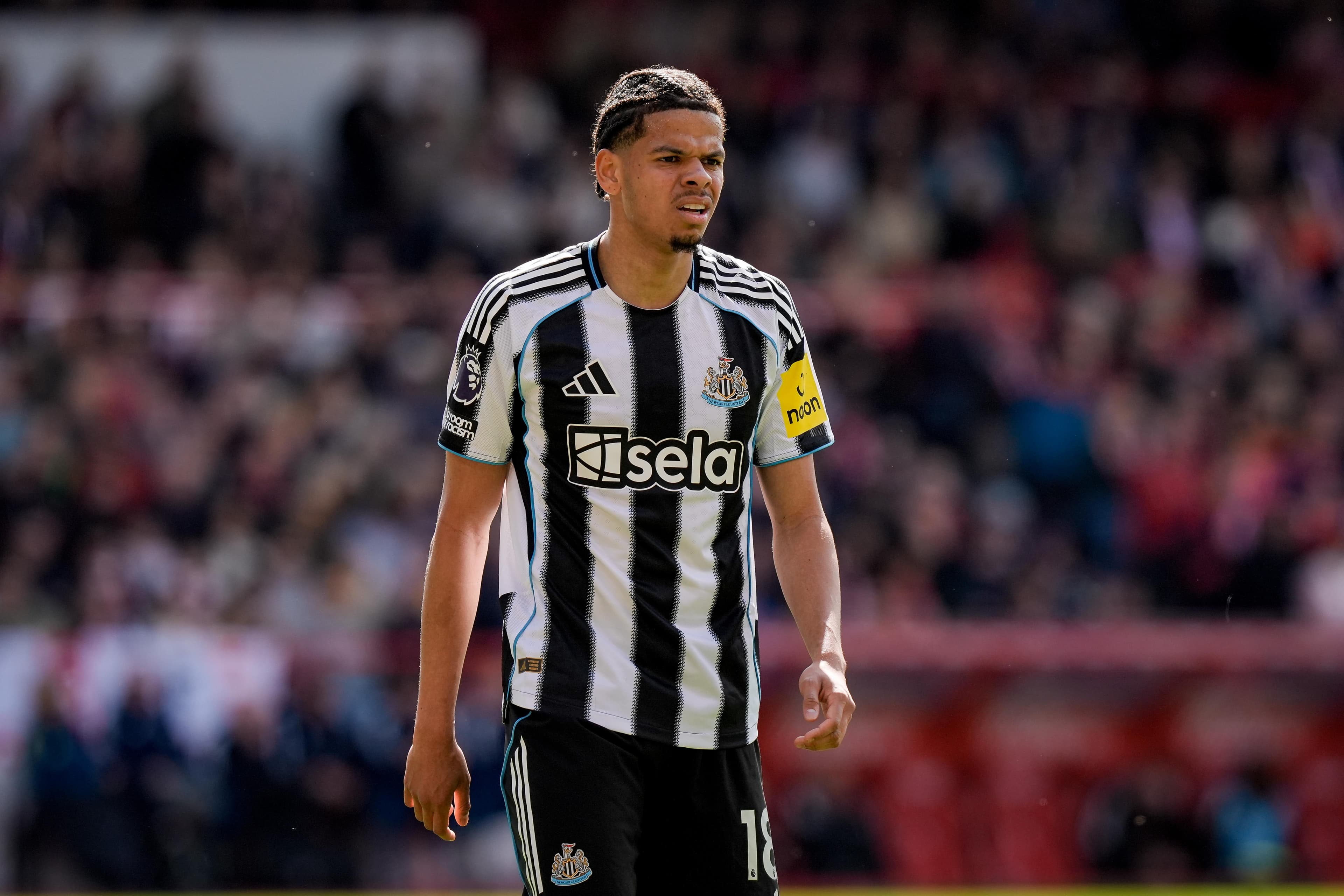 EPL GW37 Best FPL Differentials