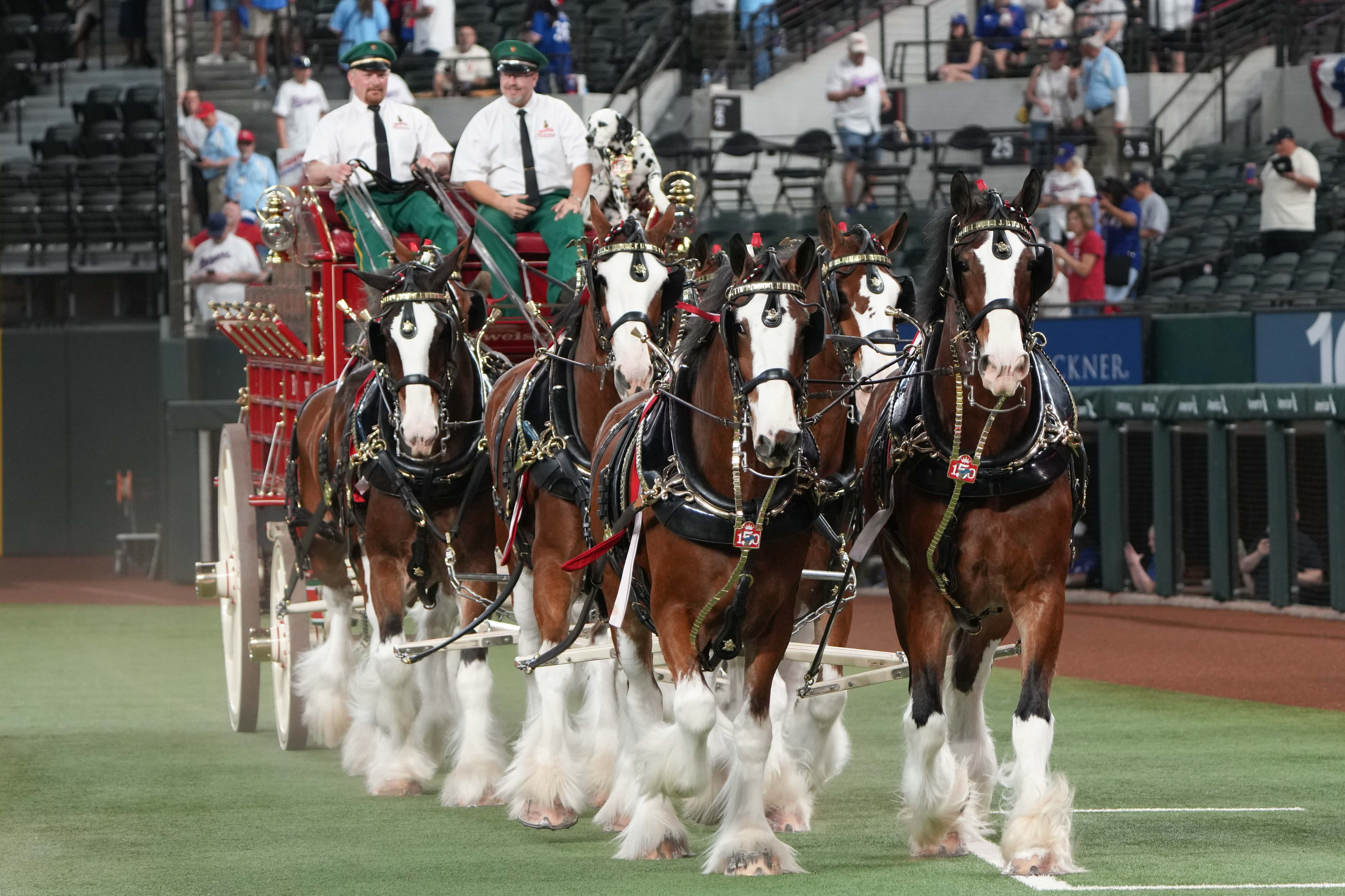 4-3 – Rangers a dud as Reds bring fireworks to 2026 Shed opener