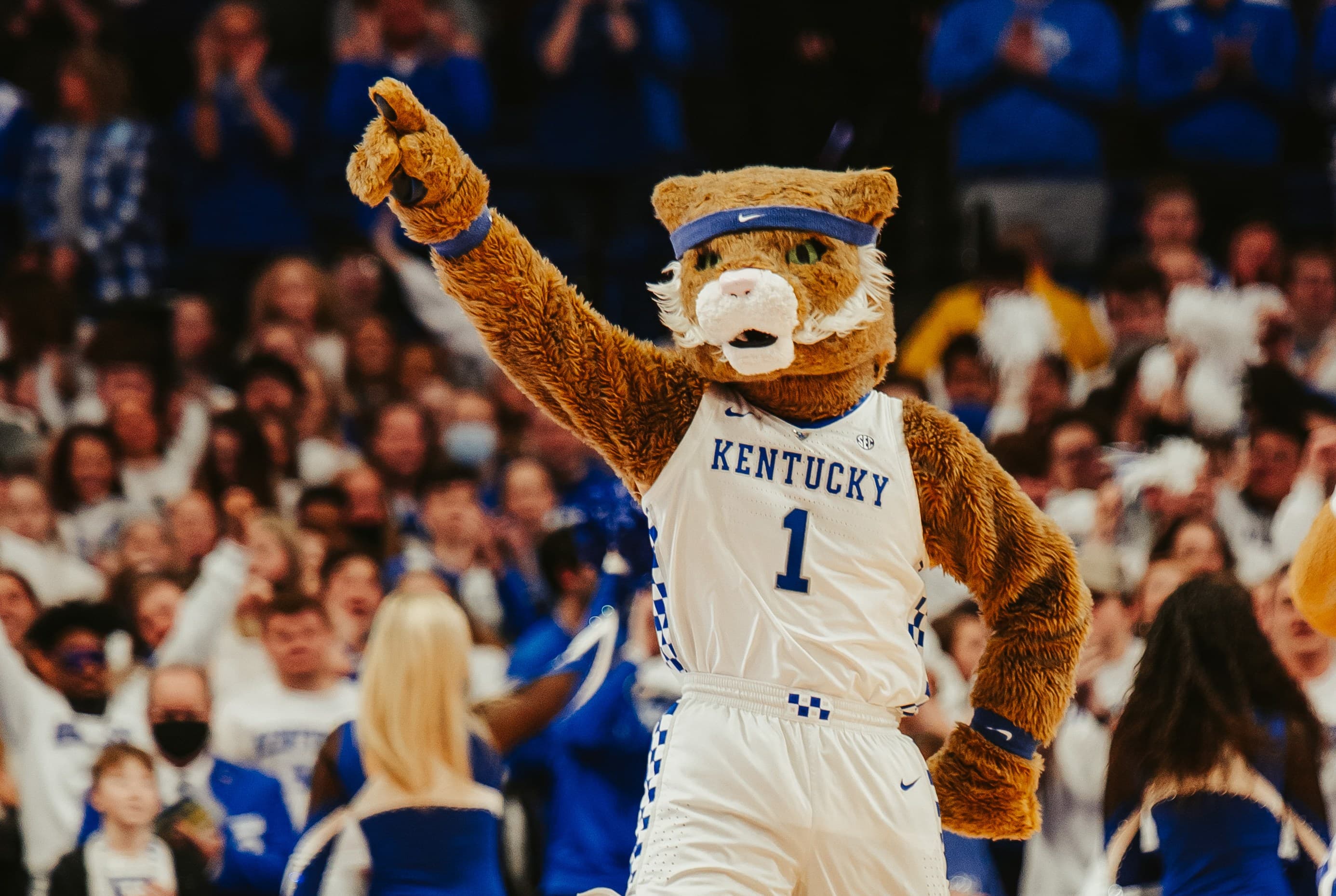 Kentucky Wildcats News: NCAA Transfer Portal Opens