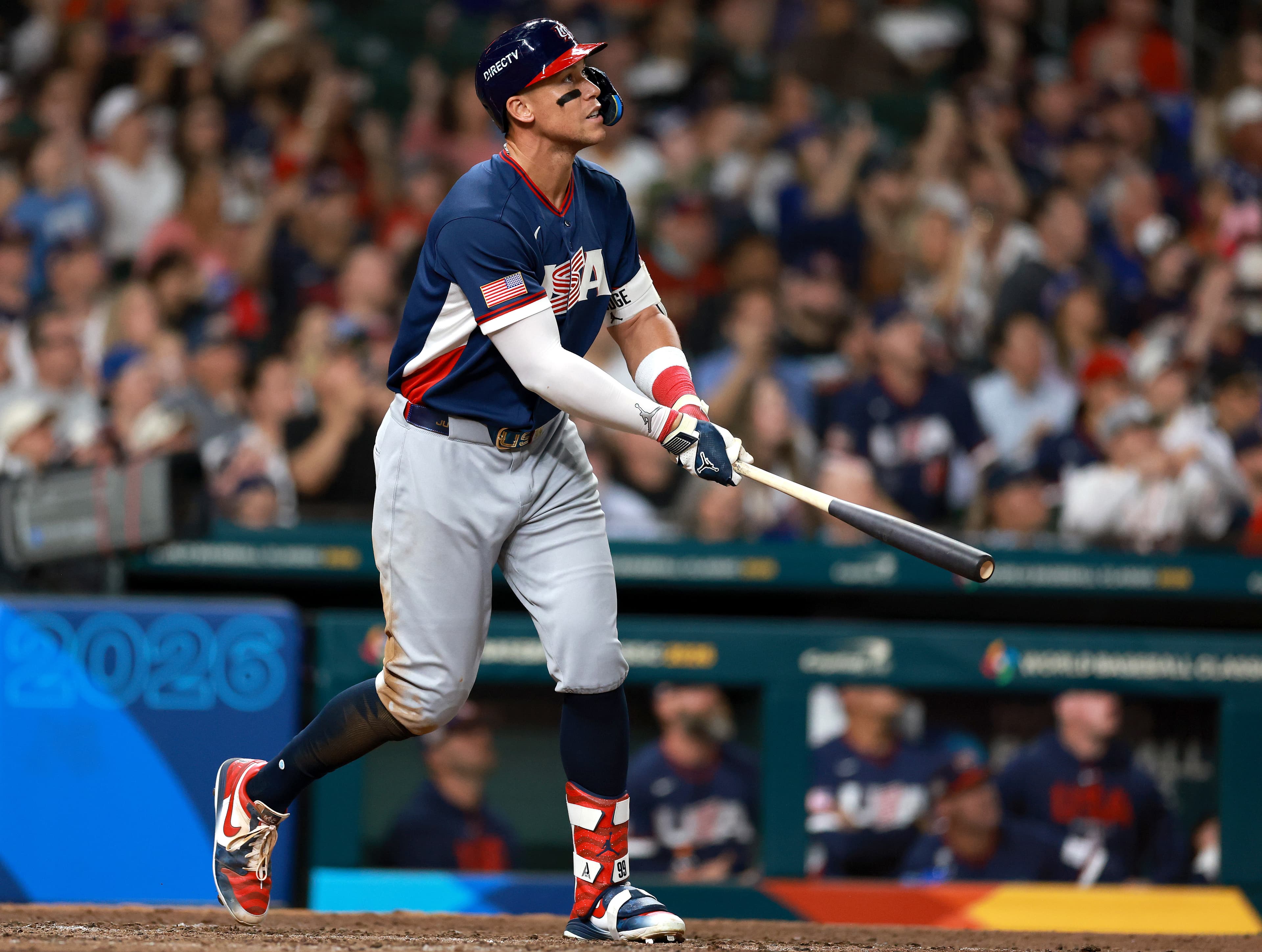 Hidden Bat Joins the Team, Sparking Excitement!