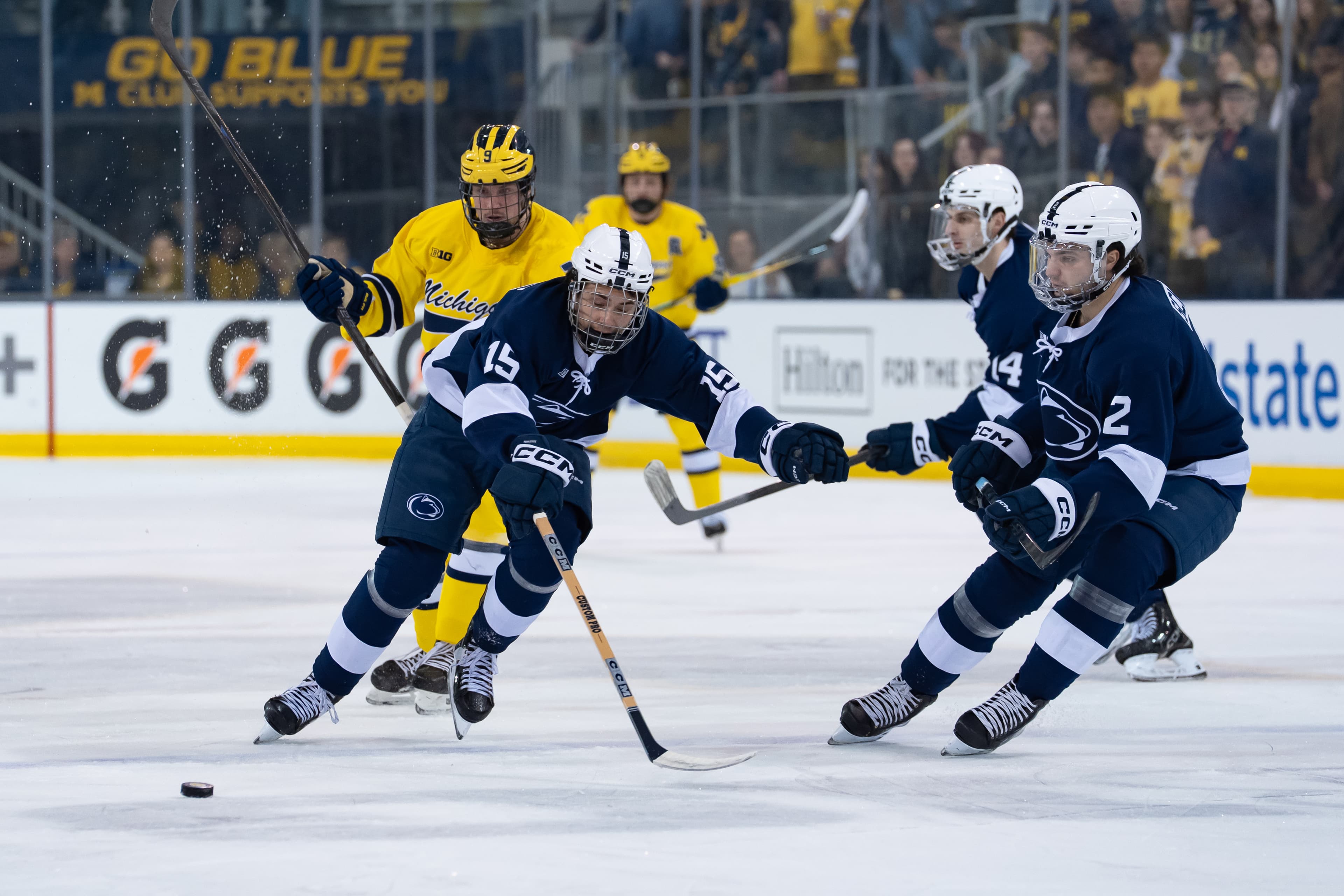 Charlie Cerrato Signs PTO With Chicago Wolves