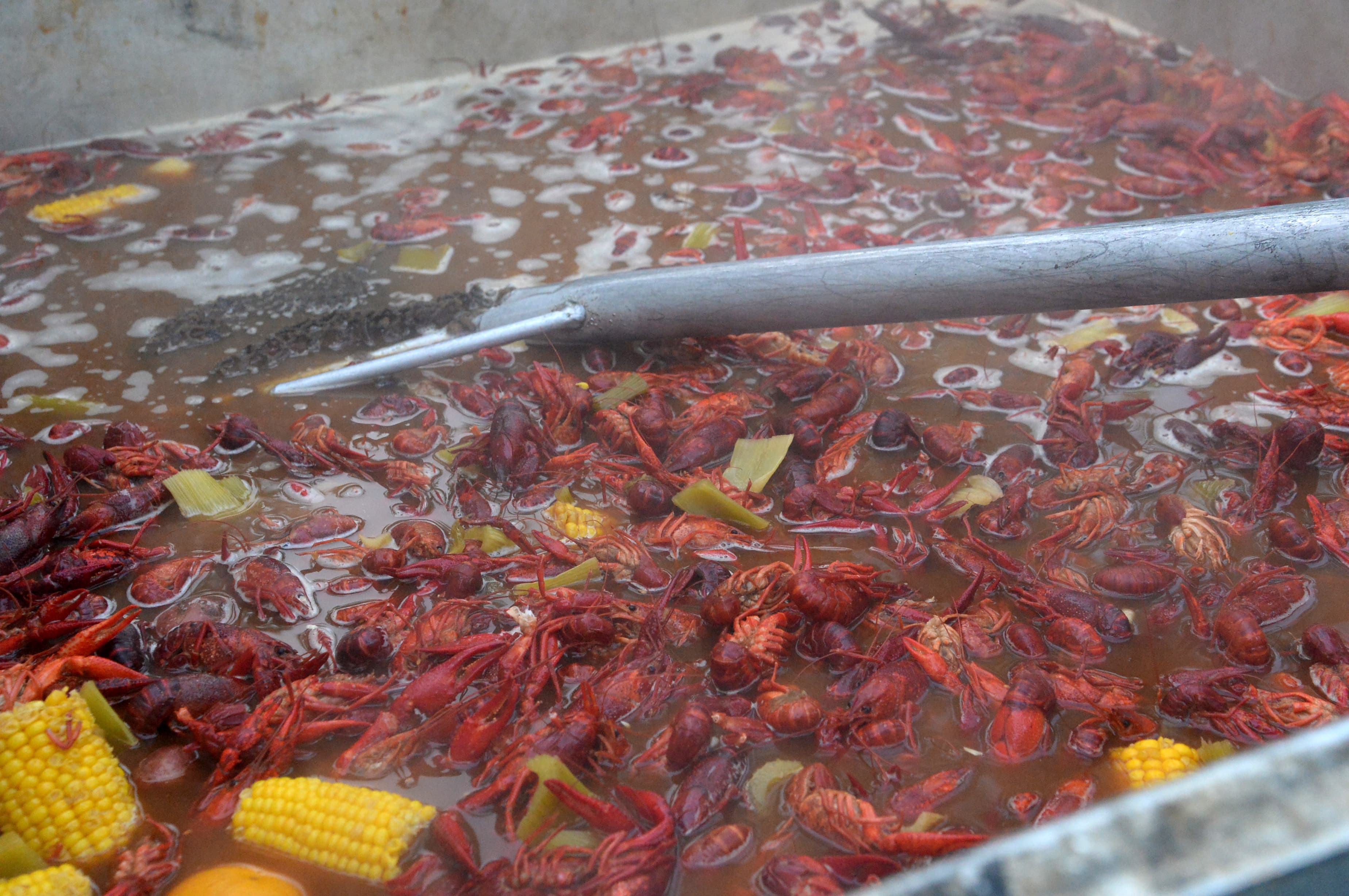 Saints team up with Cox to host 2026 NFL Draft Crawfish Cook-Off Competition