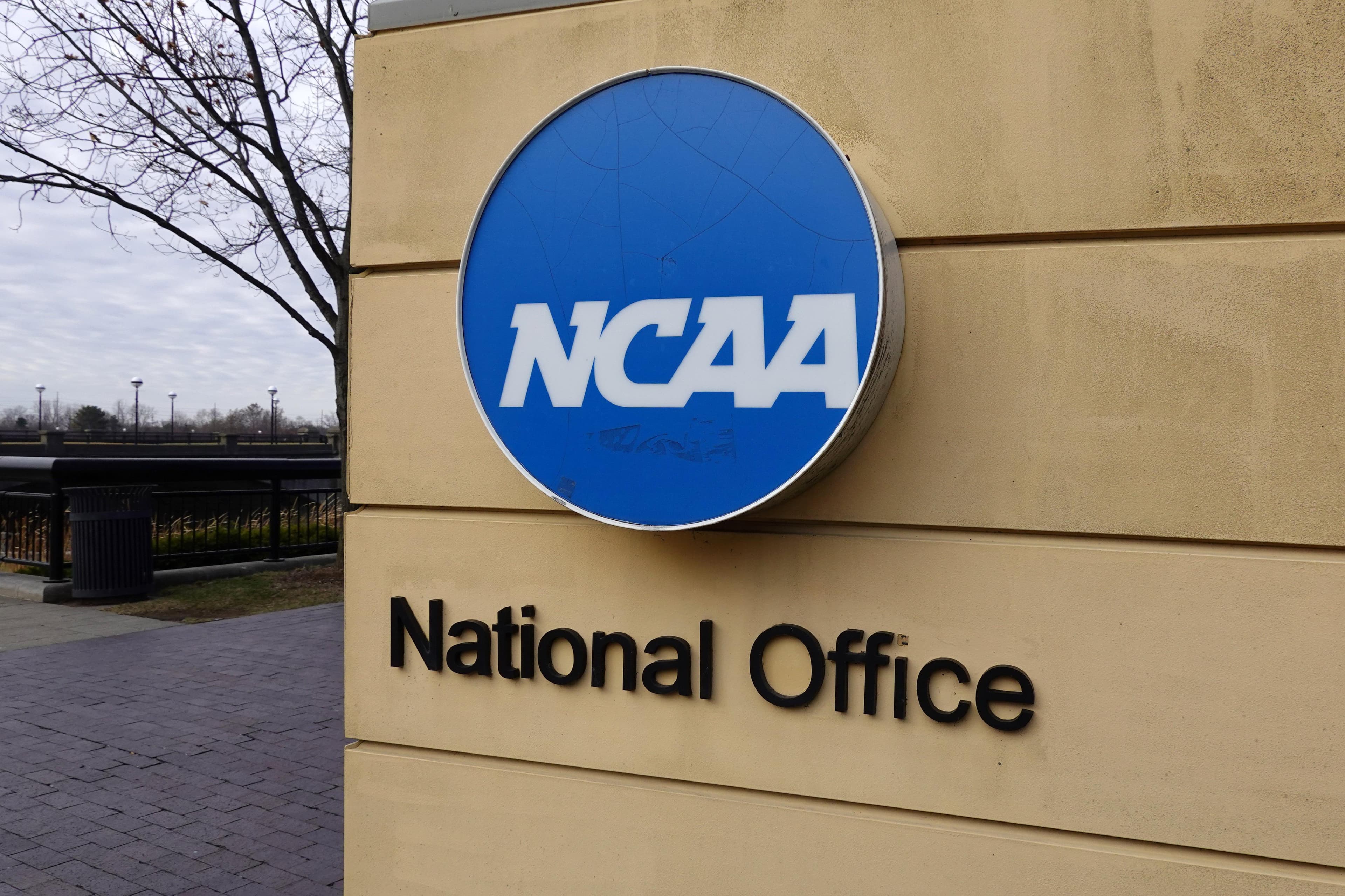 Report: NCAA could rule top international prospects ineligible