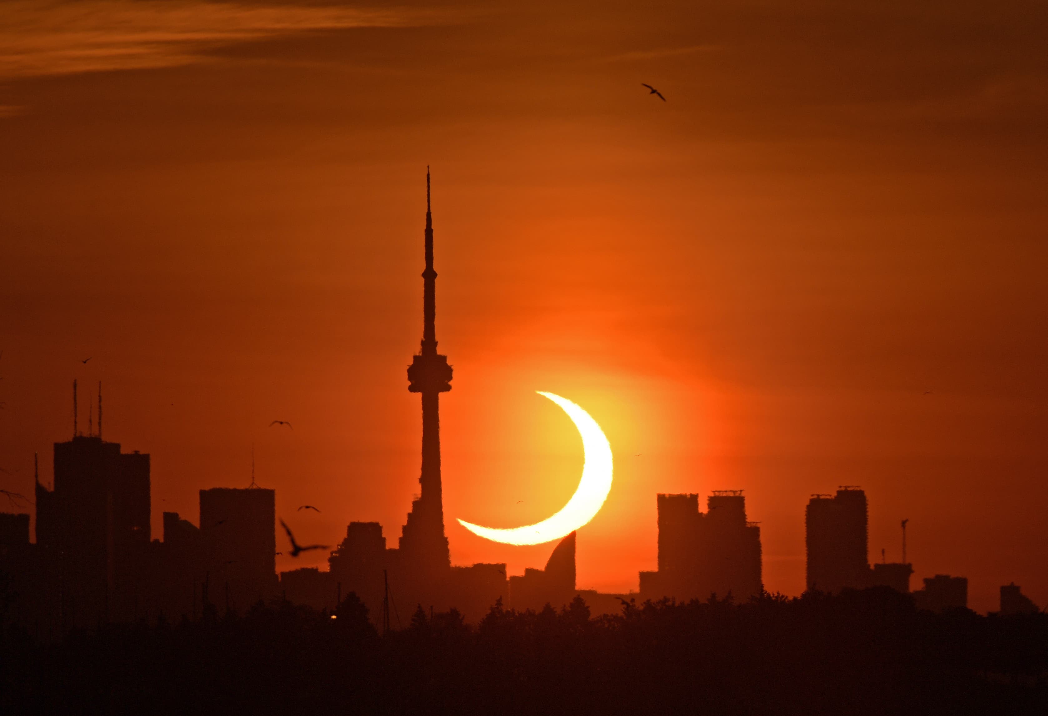 Game 15: Twins at Blue Jays
