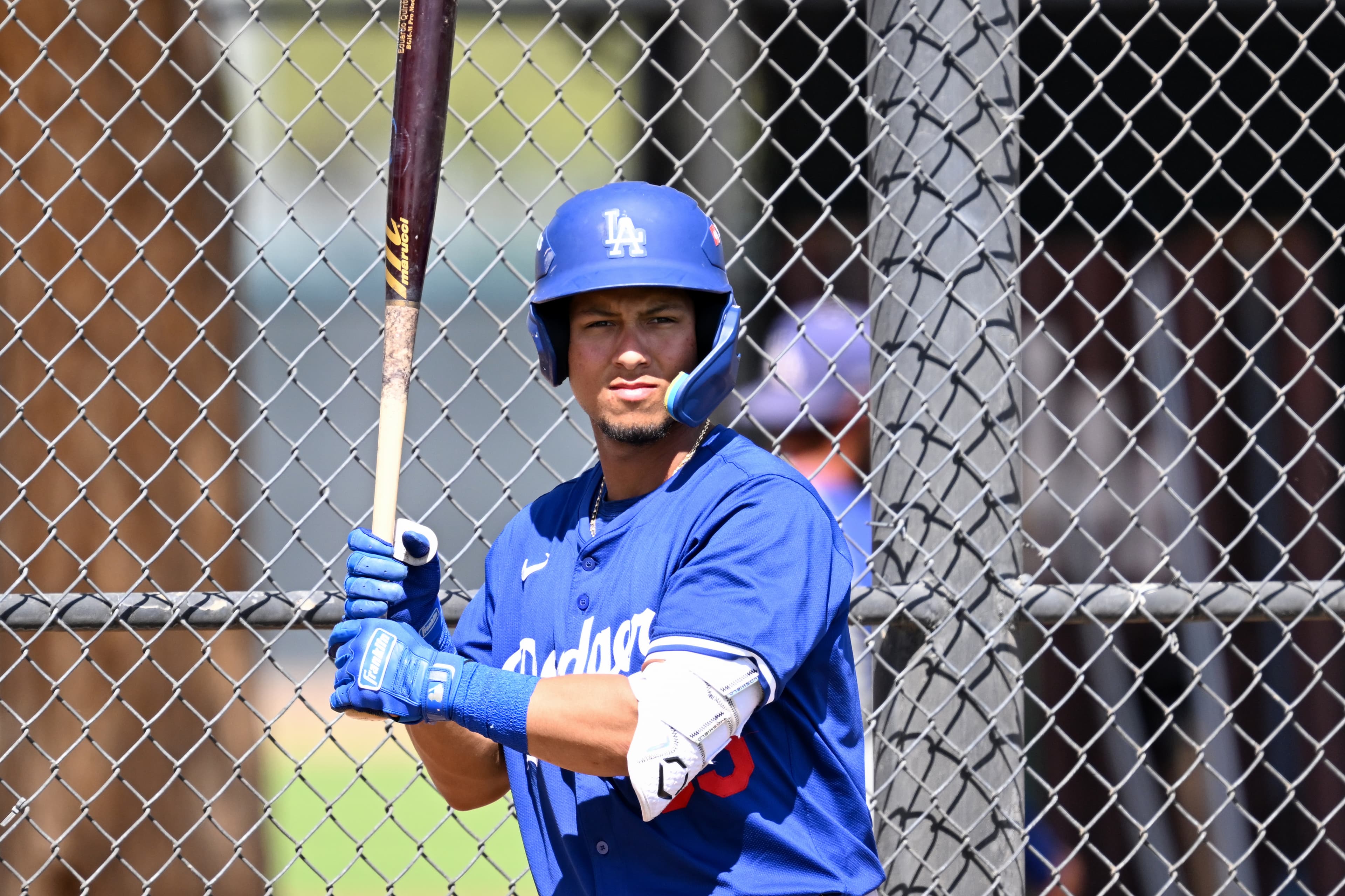 Dodgers notes: Prospect placements, Shohei Ohtani, Emmet Sheehan