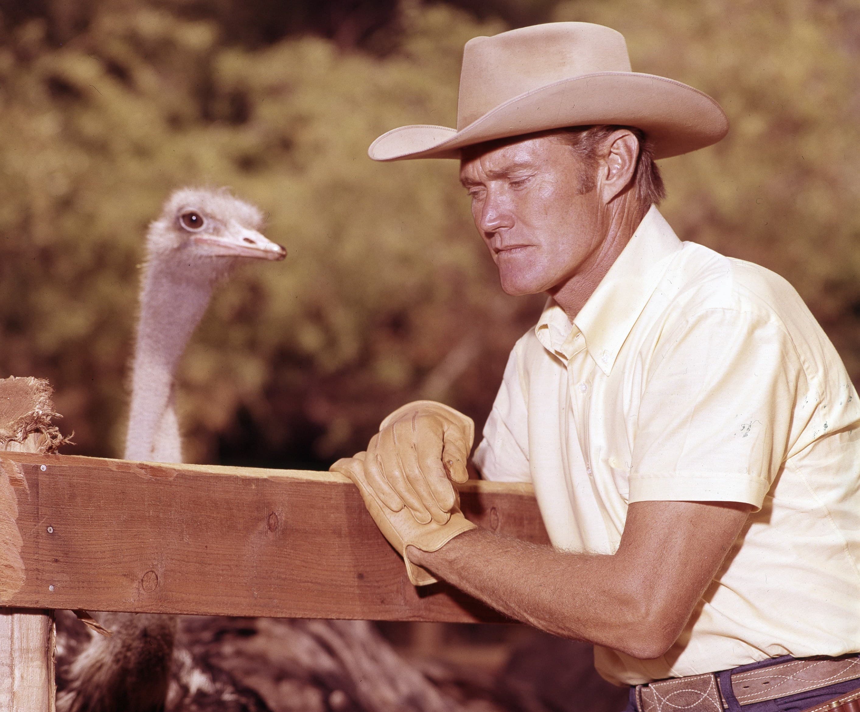 Chicago Cubs history unpacked, April 10