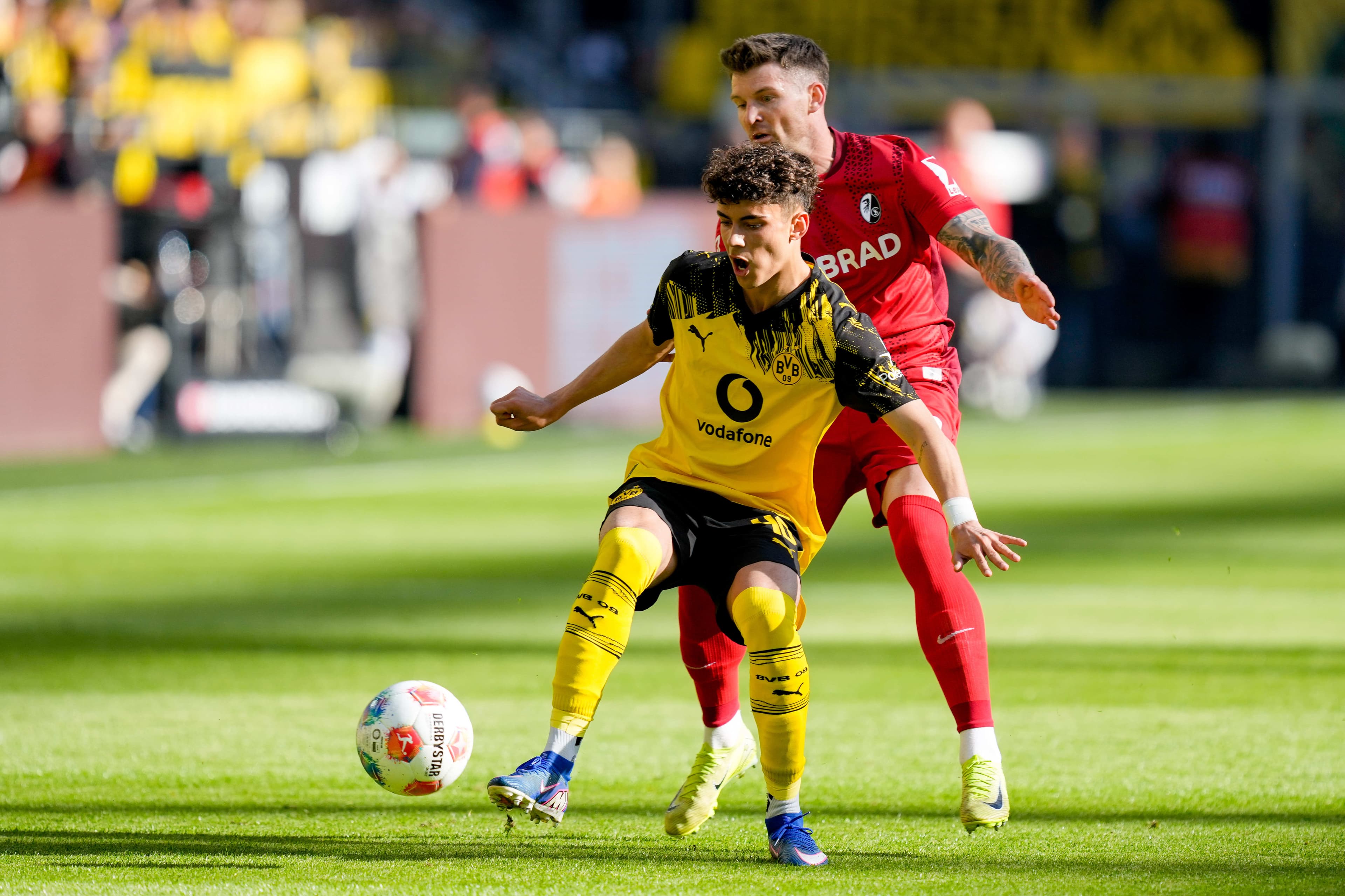 The Daily Bee: BVB Youth