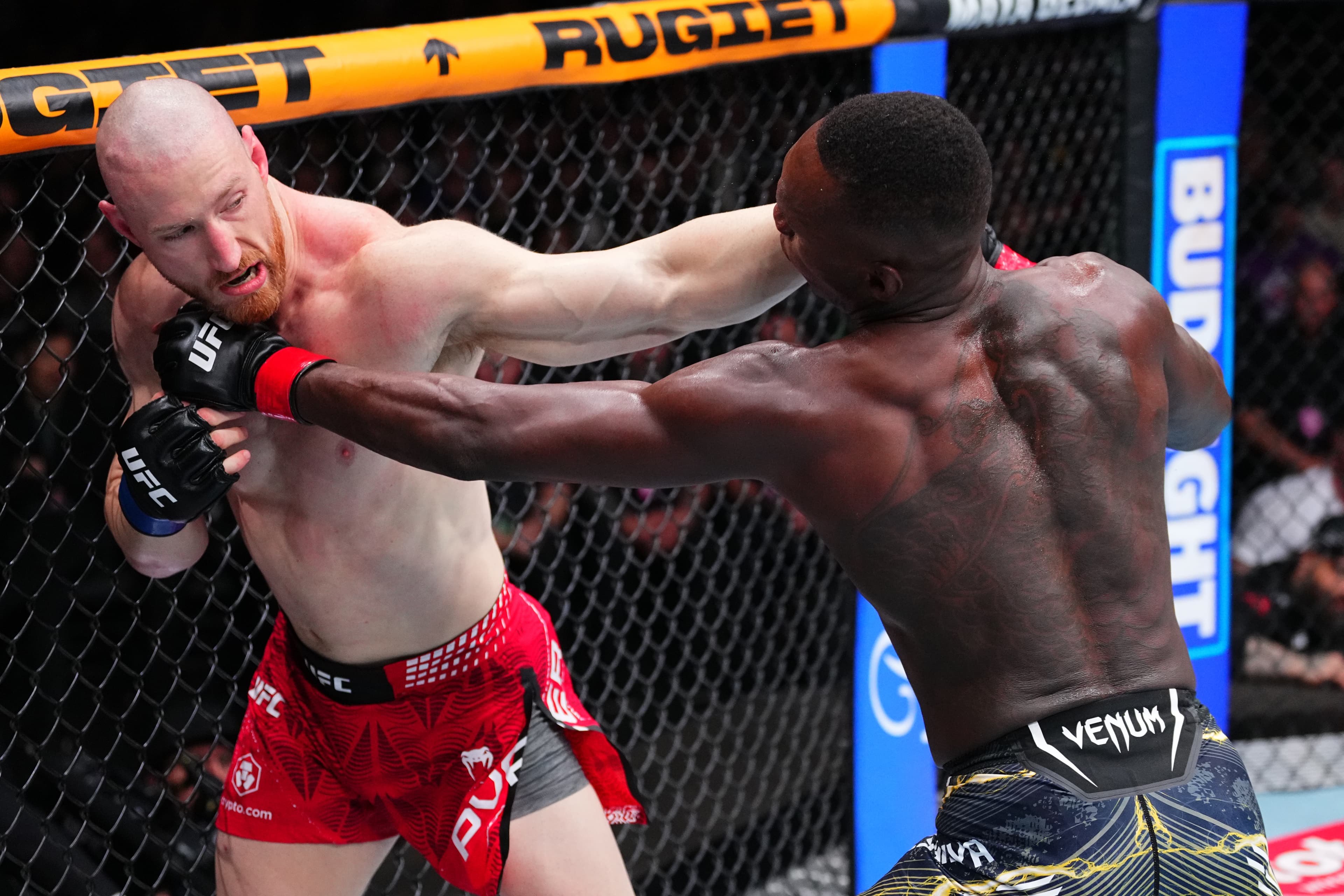 Highlights! Pyfer Rocks, Stops Izzy After Wild Brawl