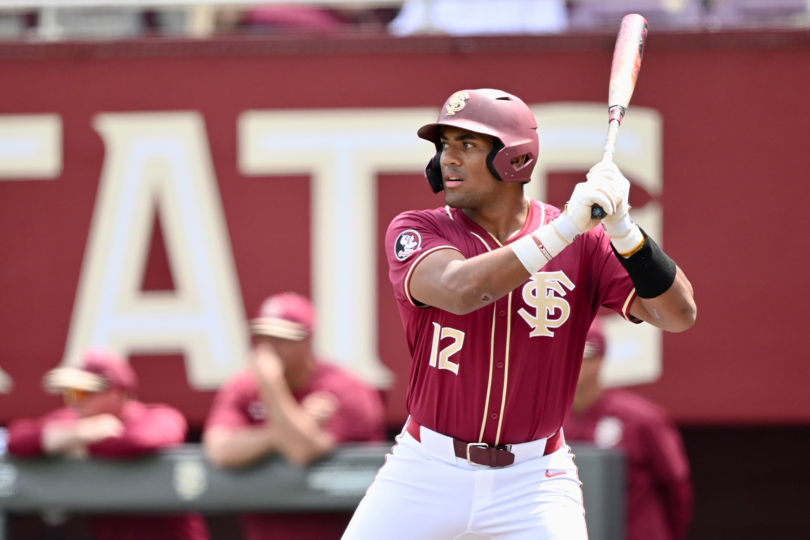 Florida State baseball: FSU overcomes struggles, major injury to Bailey to clinch series against Duke