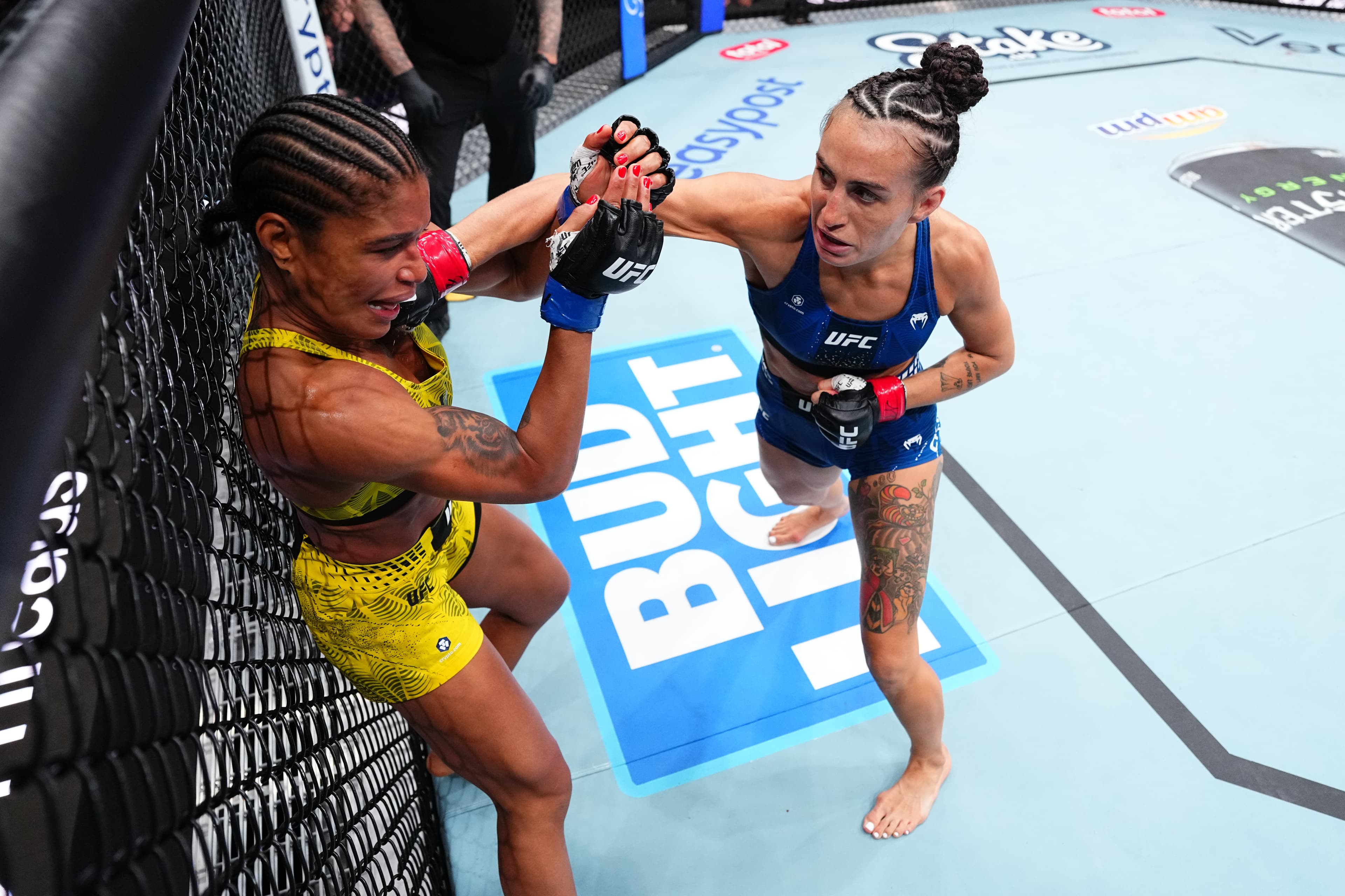 Highlights! ‘King Casey’ Returns From Injury With Thunderous KO