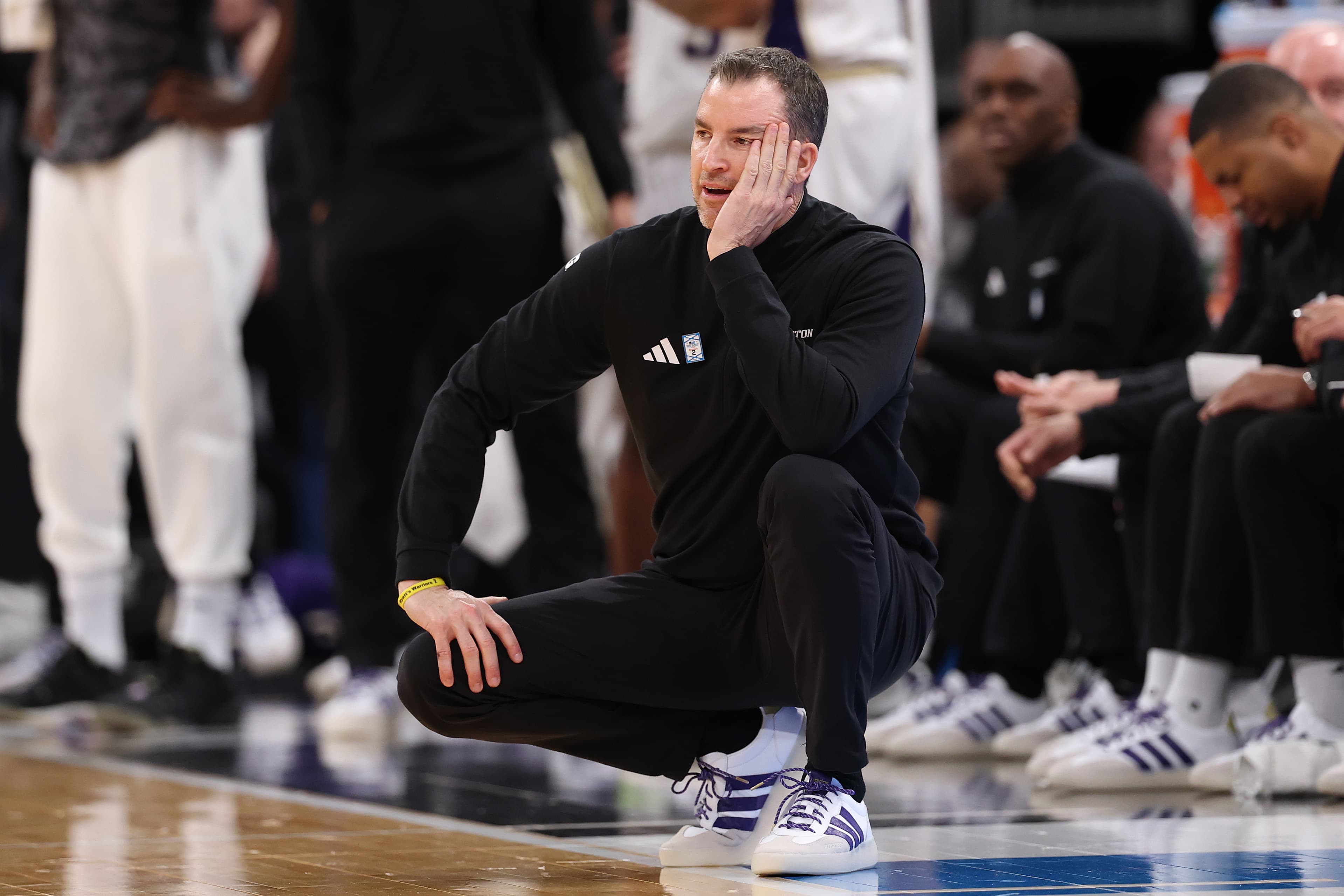 Tuesday Dots: Paws and Refresh