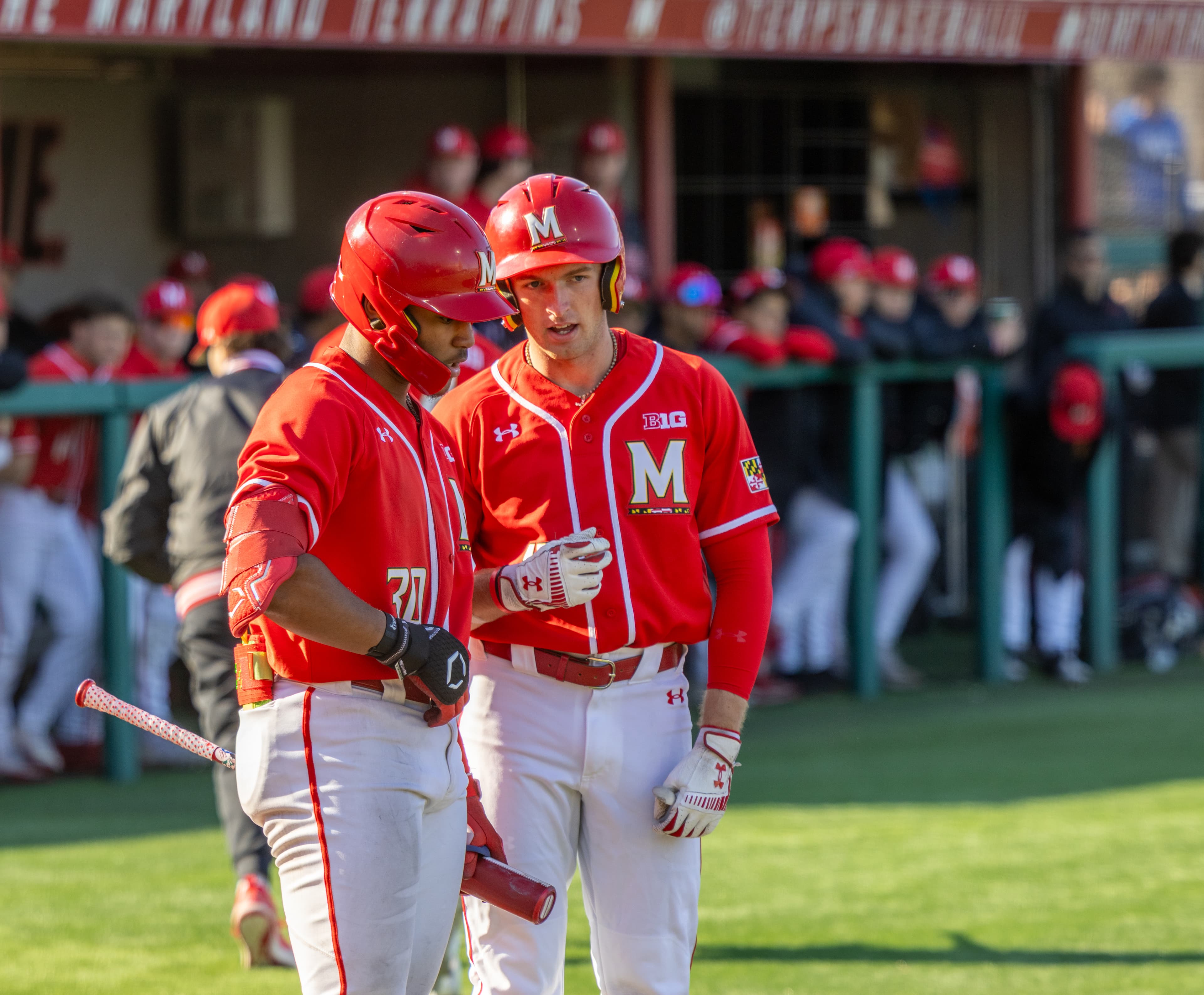 Maryland baseball drops second straight conference series, falls 8-3 to No. 1 UCLA