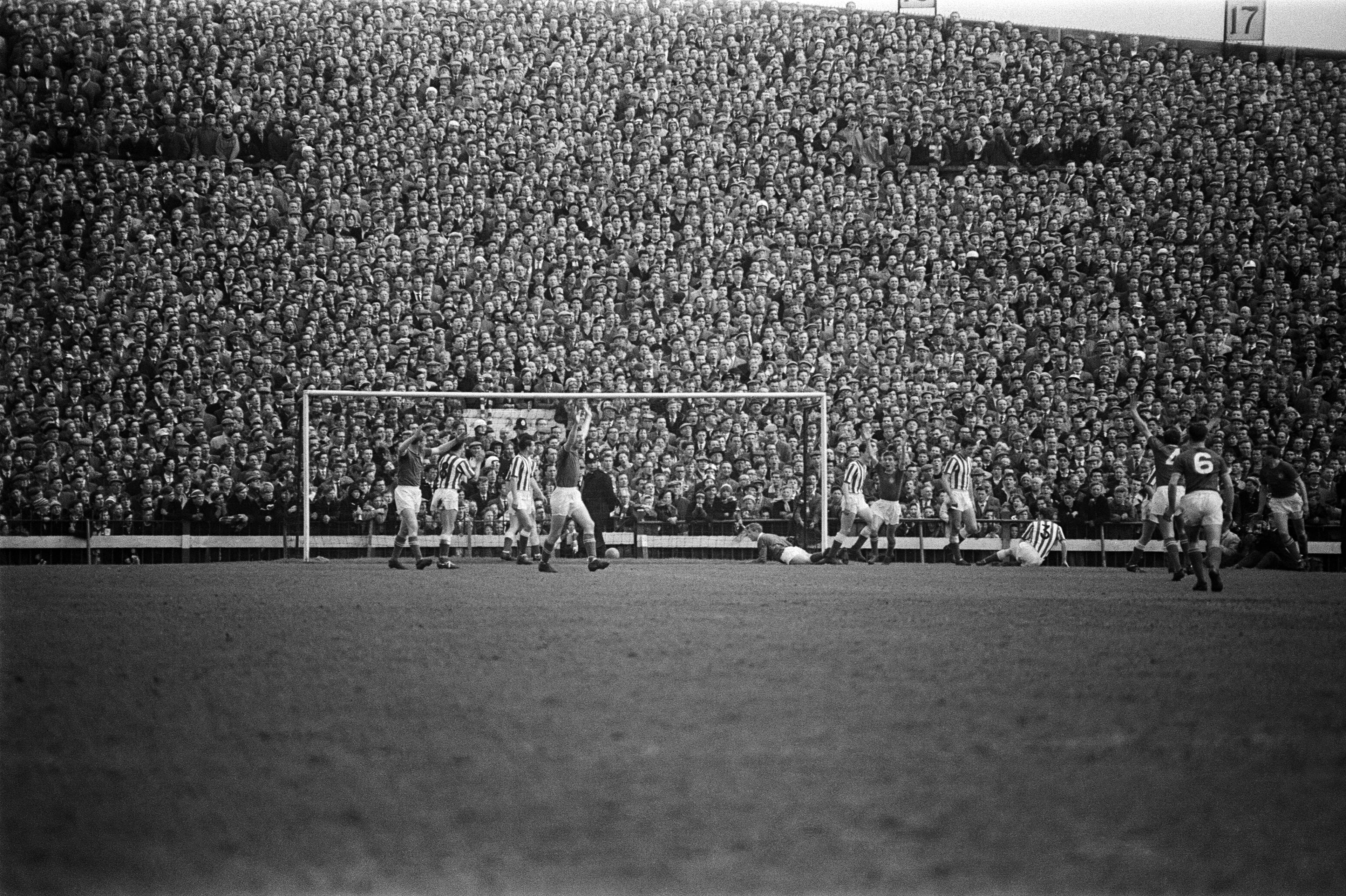 Beer, Baccy & Bovril!