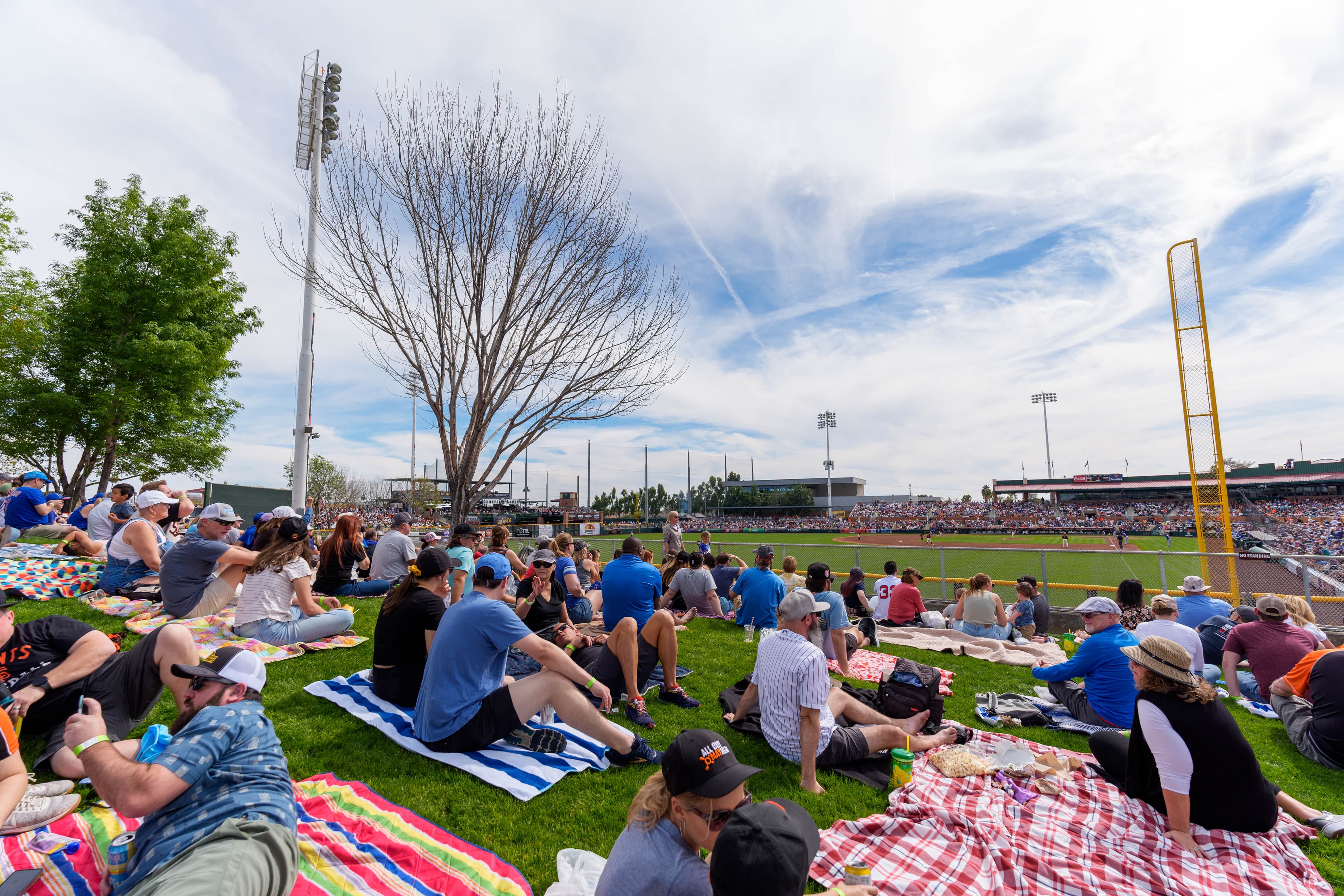 Arizona Diamonds strike out San Francisco Giants with sensational grand slam!