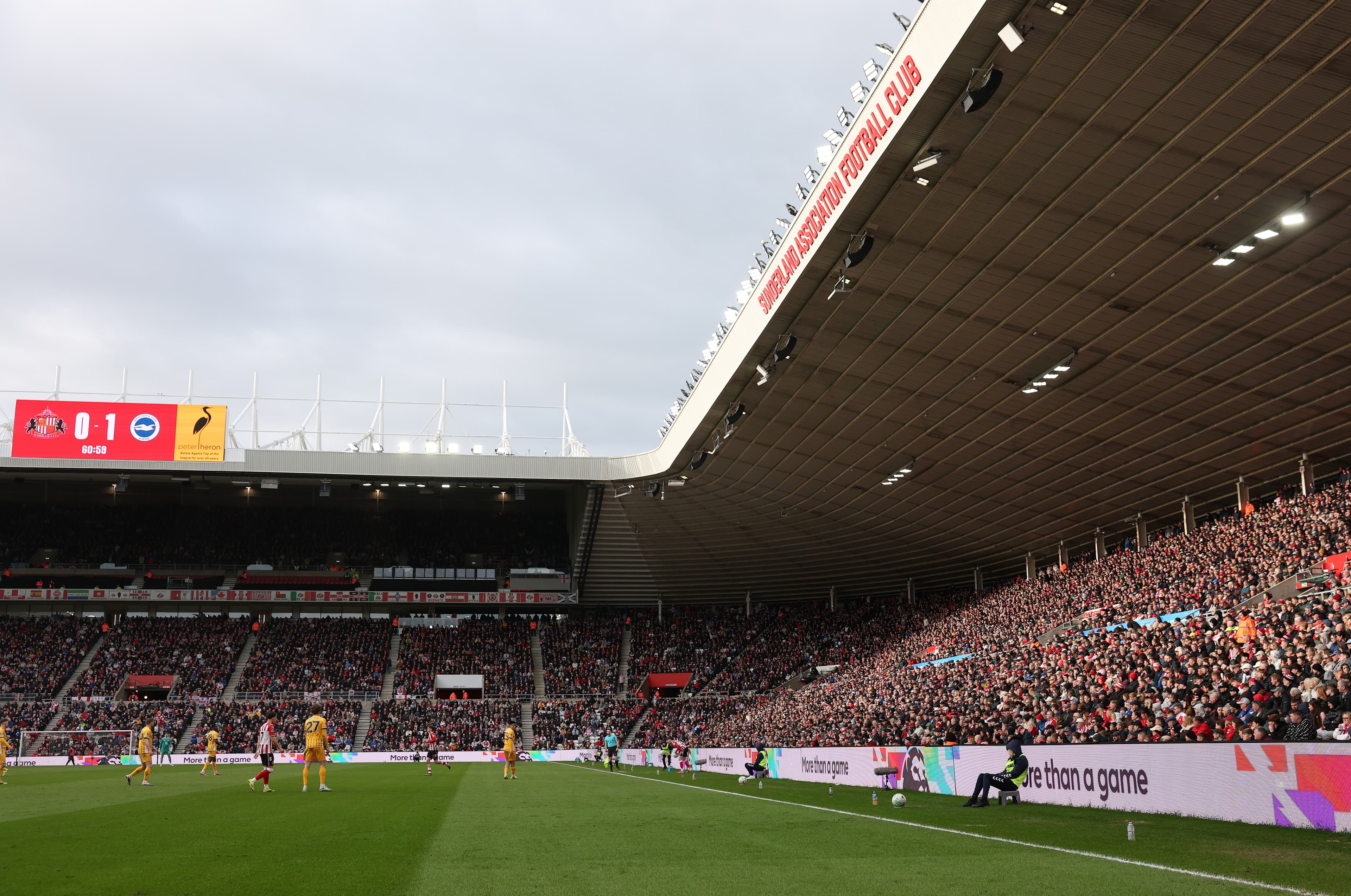 Roaring Fans Celebrate Stars' Epic Triumph!
