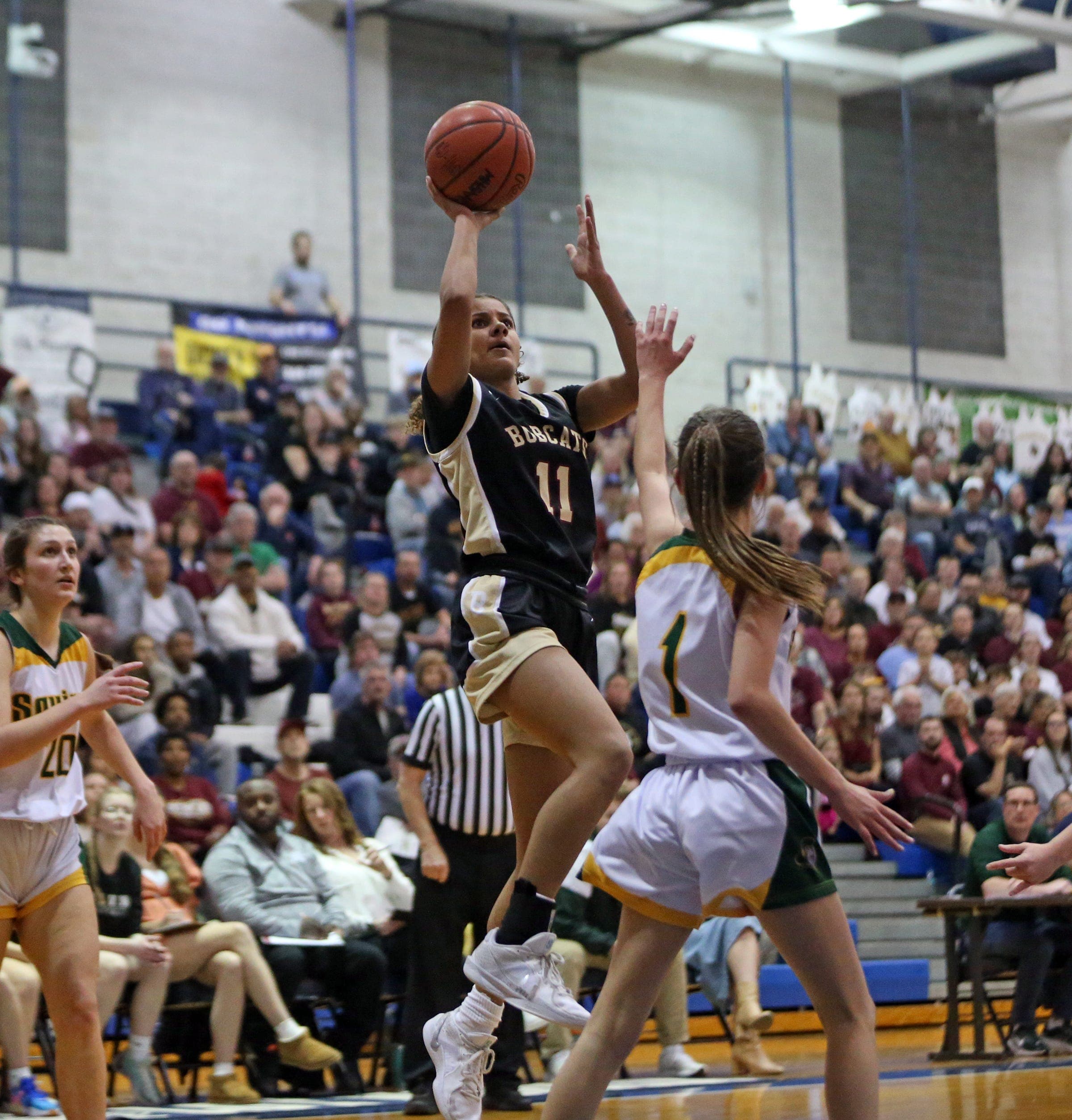 Elite Brandywine Defeats Opponents in Women's Basketball Championship!