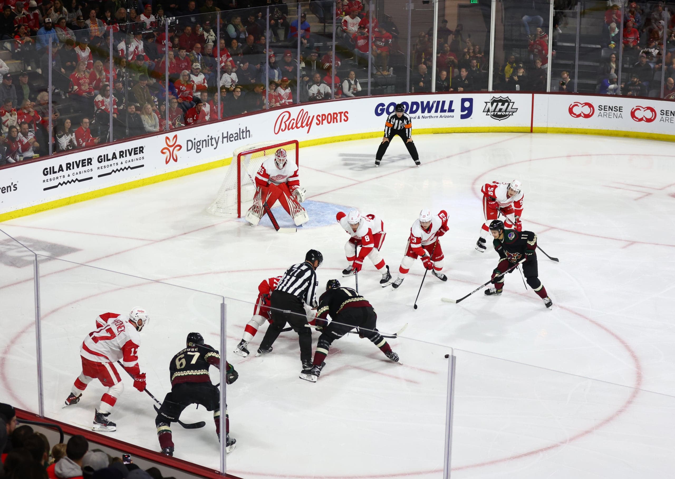 Will the NHL Return to Arizona? Insider Reveals What’s Next