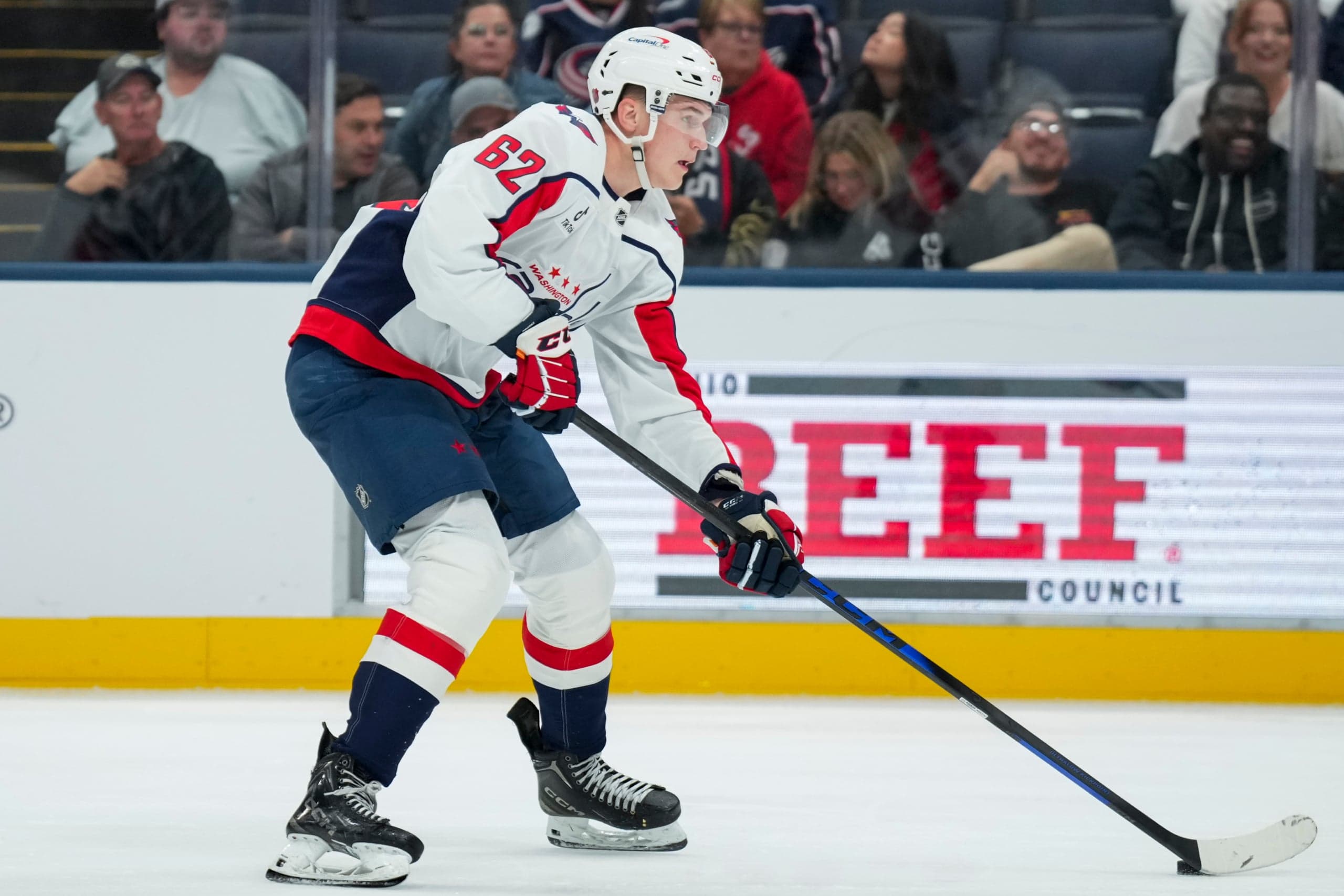 Capitals Recall Ilya Protas from Hershey