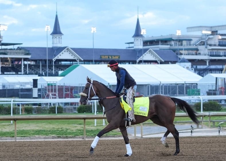 2026 Kentucky Derby Horses: Ranking All 20 Competitors & Predicting Race Winner