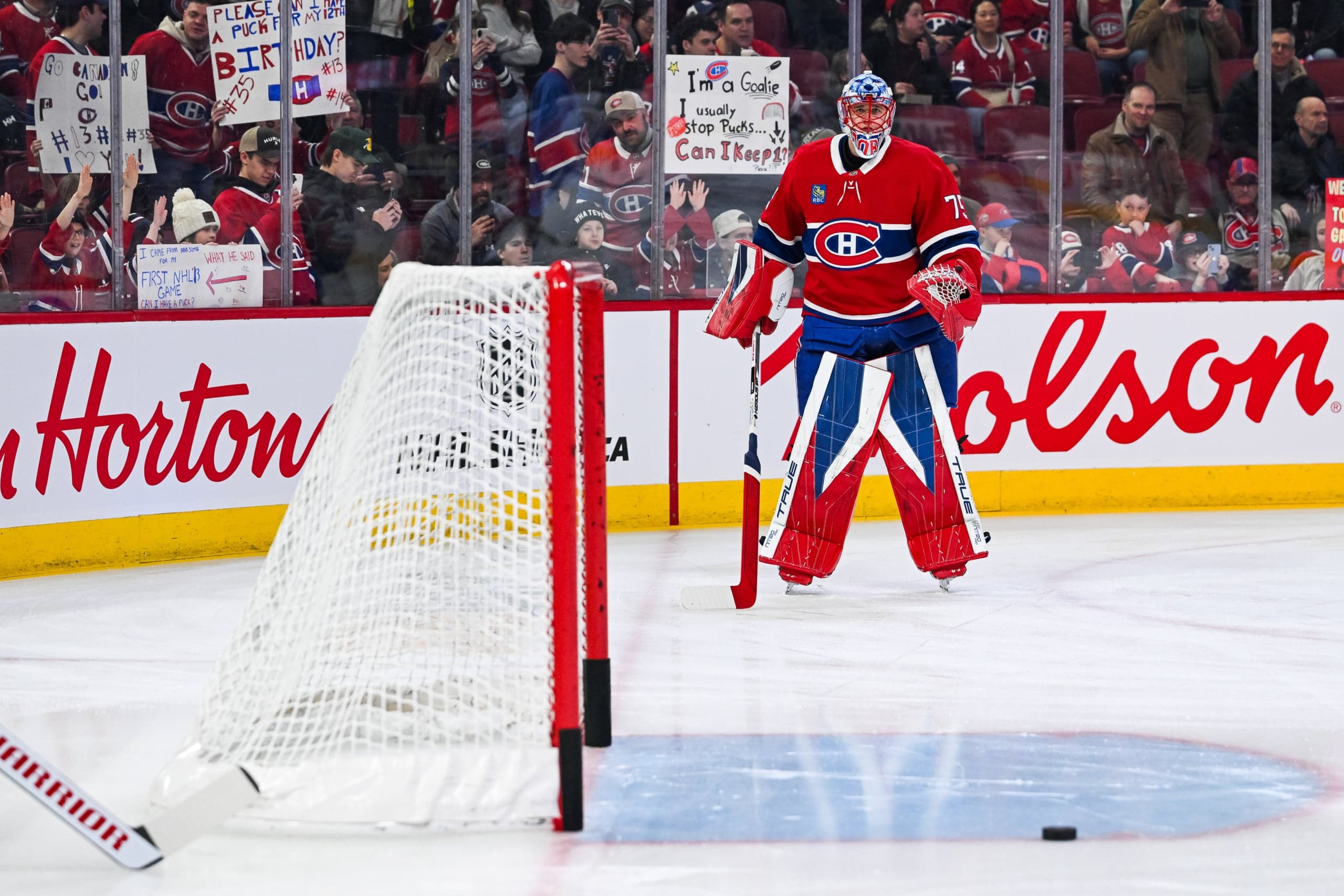 Star-Studded Dobies vs. Dach's Dominant Showdown!