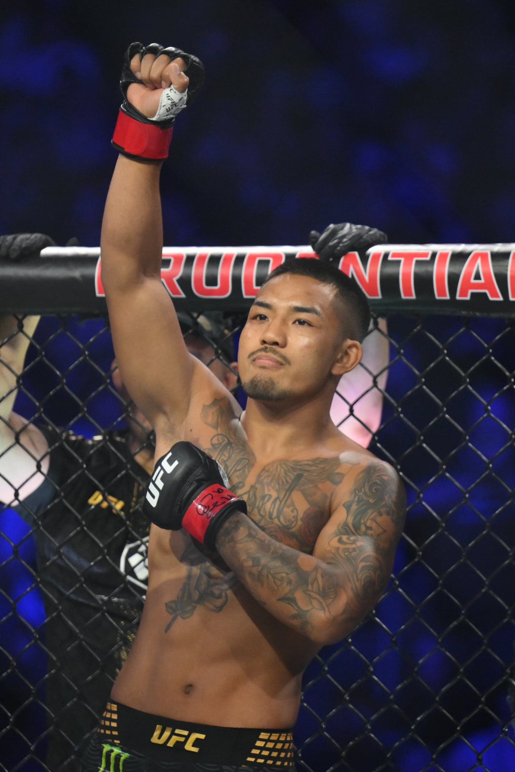 New UFC Flyweight Rankings: Where Do Van & Taira Land After UFC 328 War?