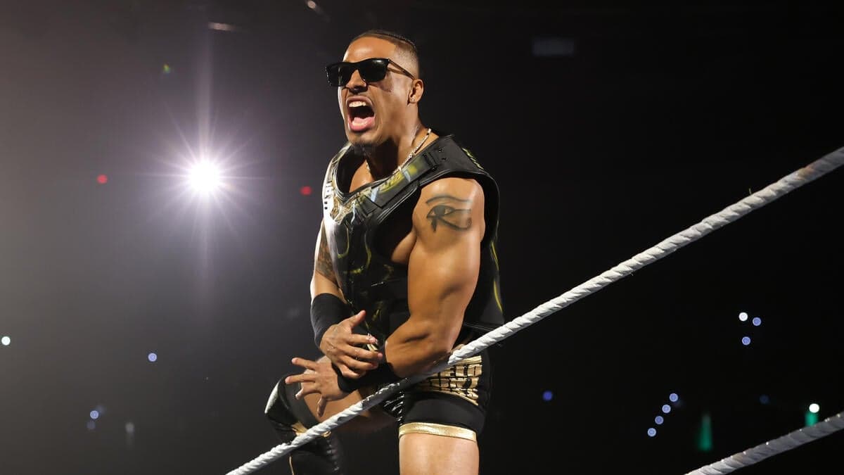 NXT Legend Takes Surprising Shot At Diehard Fans of Black-and-Gold Brand