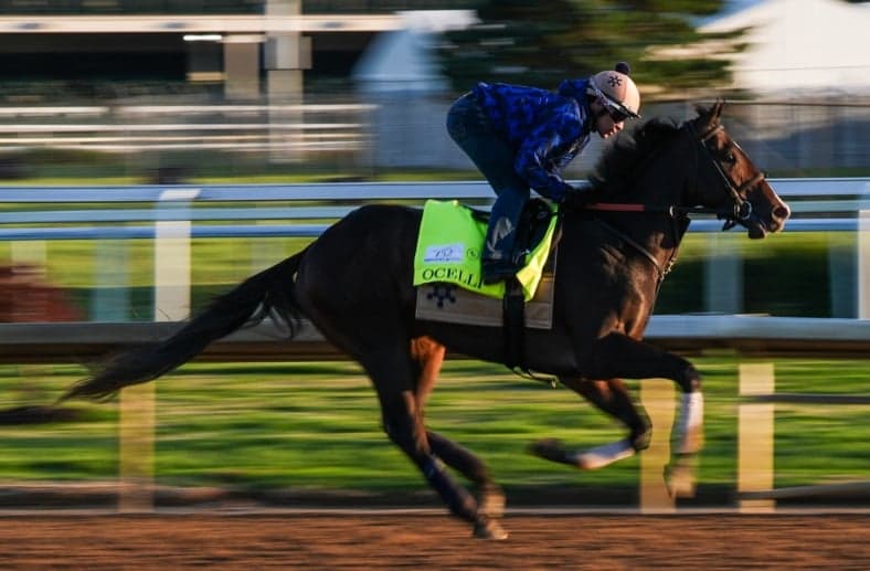 Final Ranking of All 20 Kentucky Derby Horses & Best Bets to Win, Place & Show on Saturday