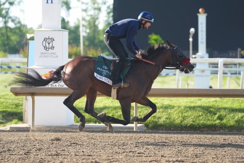 2026 Preakness Stakes Horses: Ranking All 14 Competitors & Prediction For Race Winner