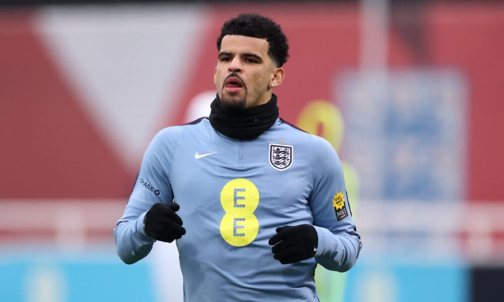 Tottenham forward Dominic Solanke fails England audition