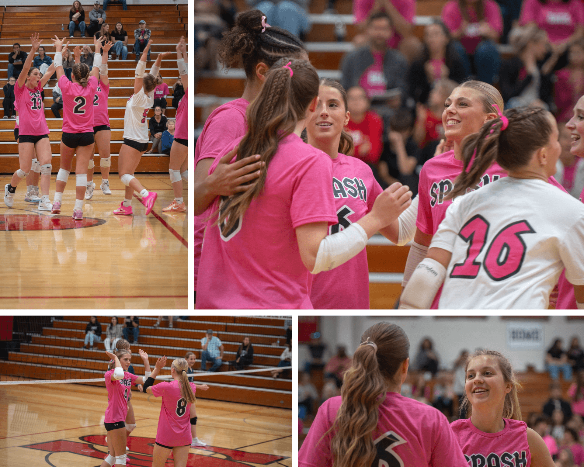 Panthers Back Panthers boosts Stevens Point School District athletics