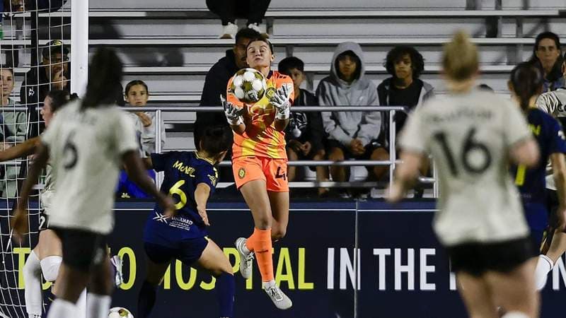 Brooklyn spoils the party on night Sun unveil championship banner