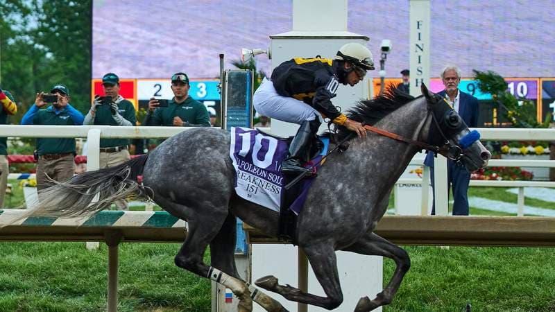 Napoleon Solo holds off Iron Honor to win the Preakness at Laurel Park