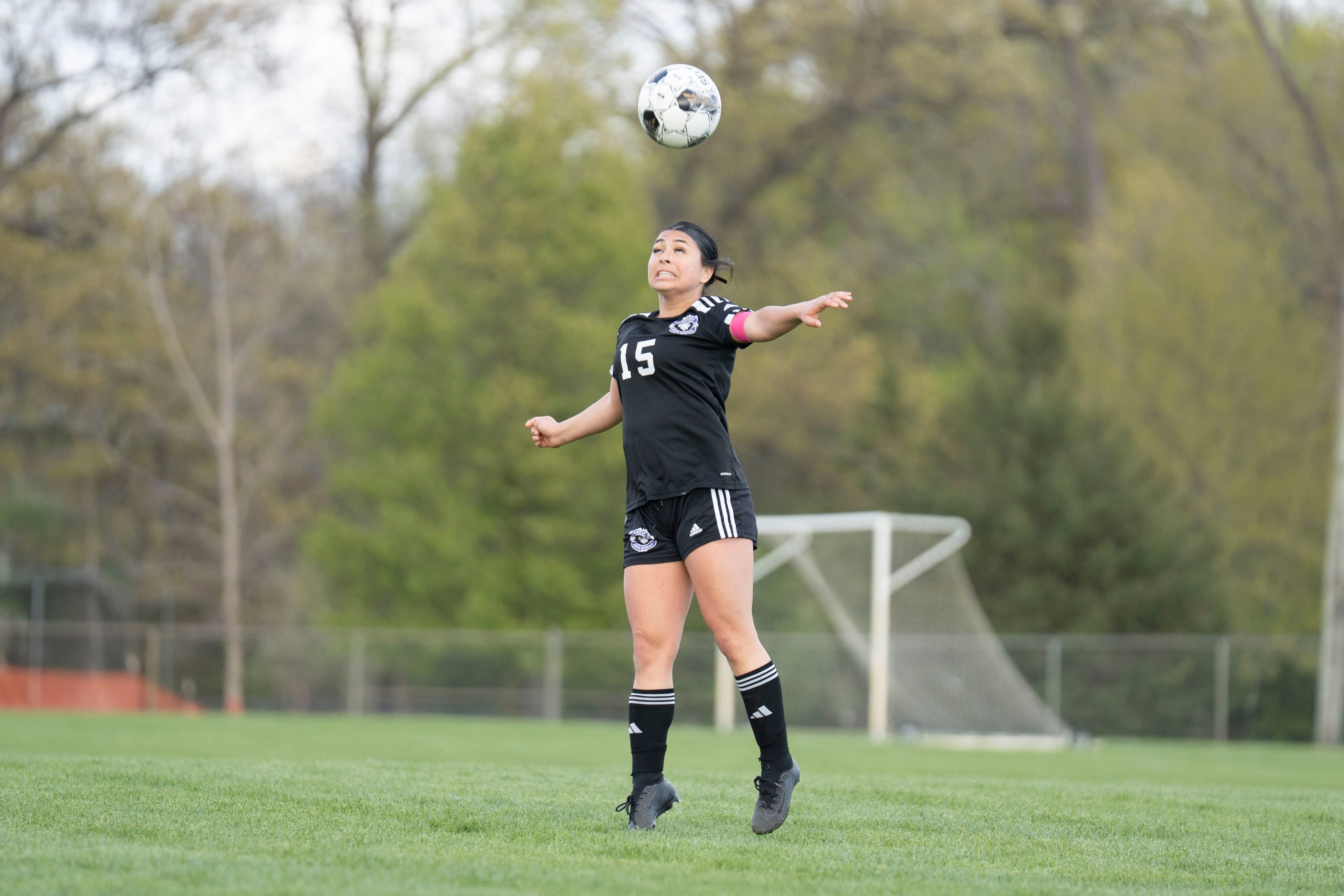 Best of Battle Creek at midfielder in high school girls soccer? Vote here