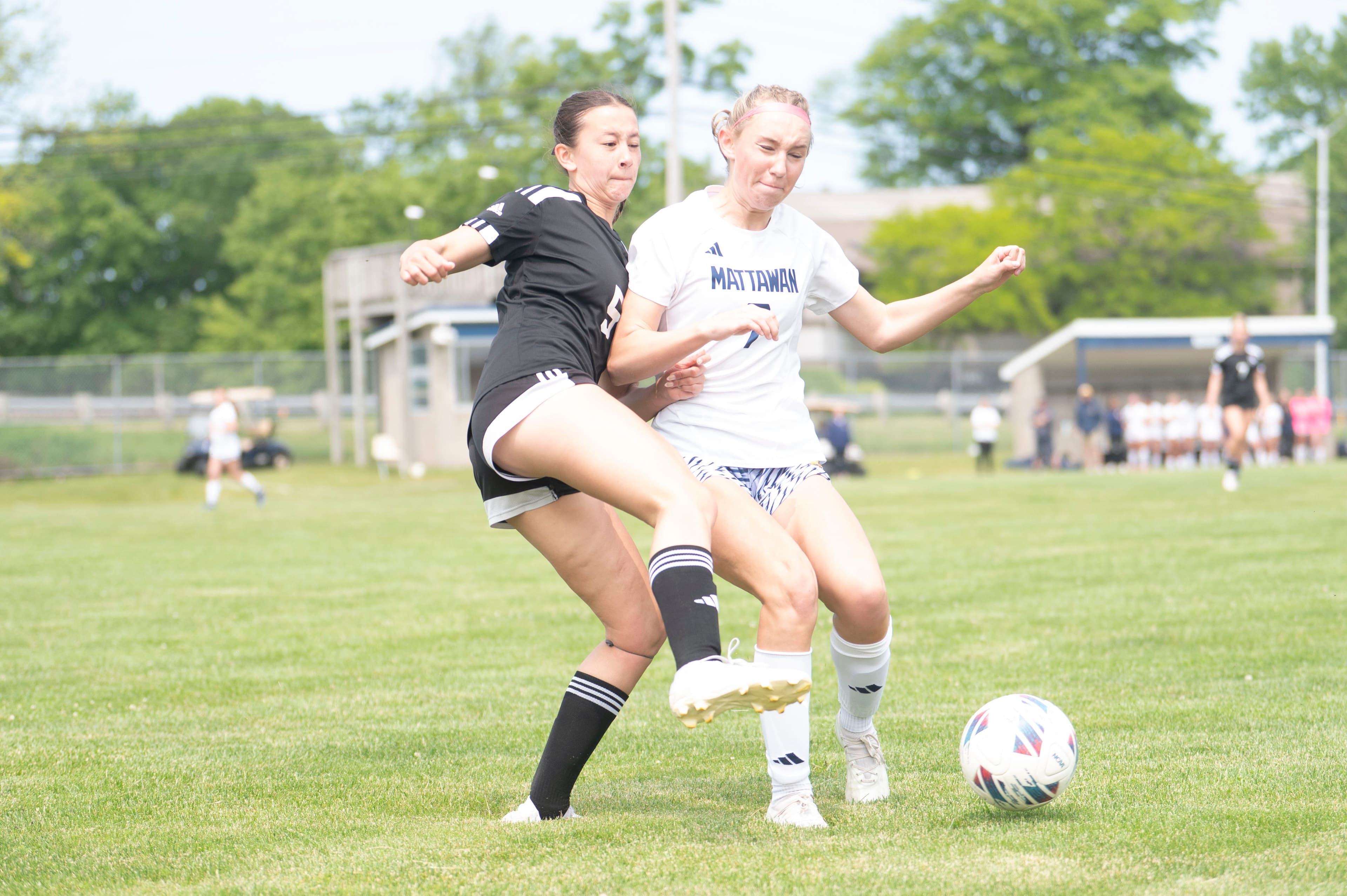 Lakeview's Madeleine Thawnghmung is Bronson Battle Creek Athlete of the Week