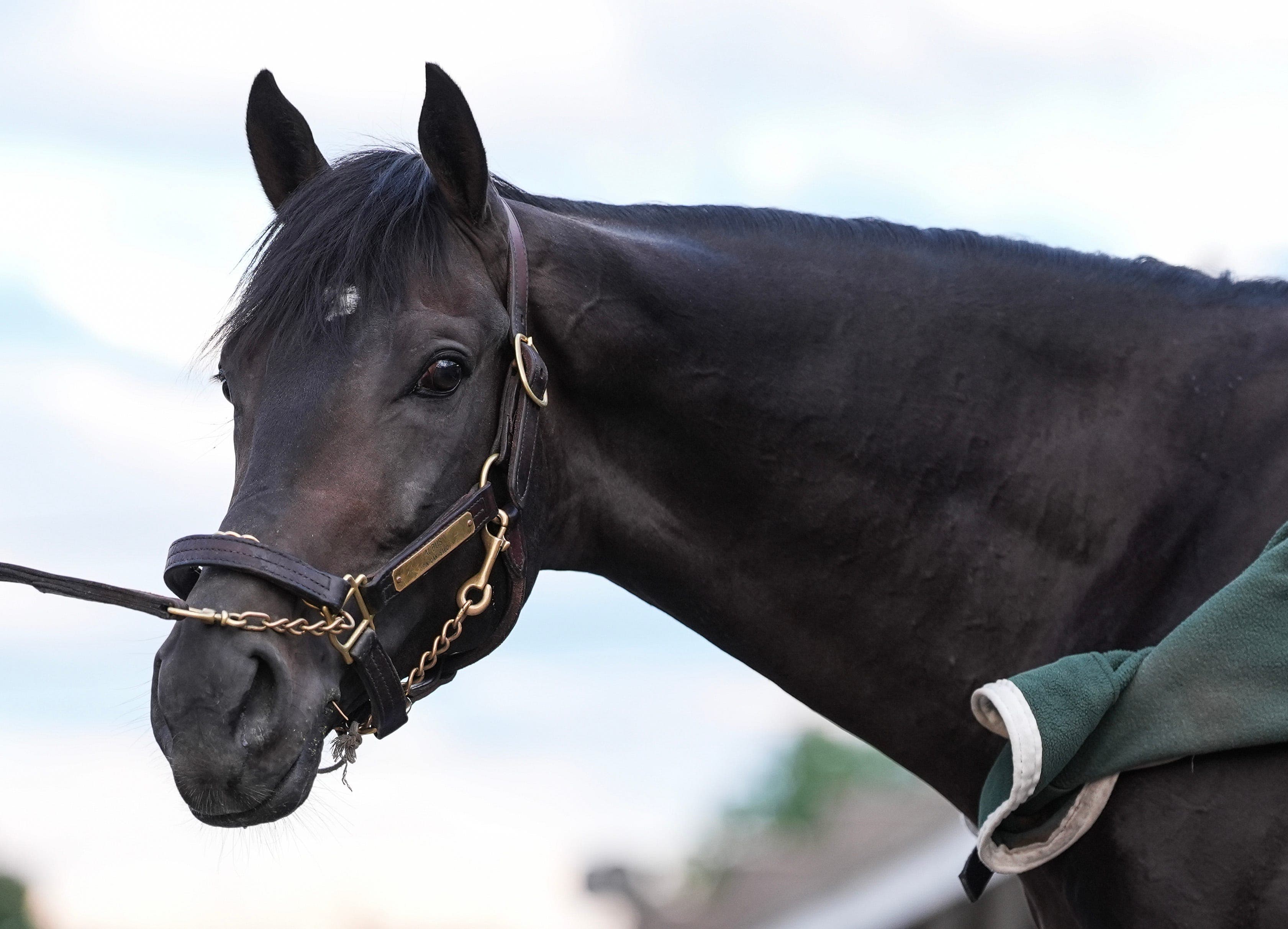 4 Kentucky Derby contenders to watch if it rains at Churchill Downs