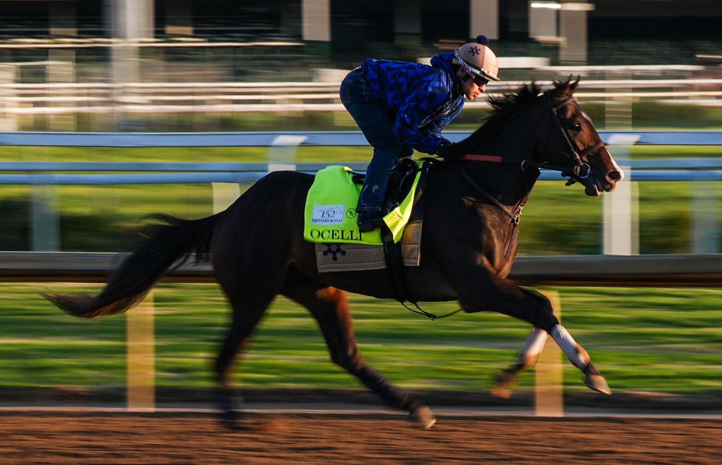 Why your Preakness Stakes 2026 horse can, can't win Triple Crown race