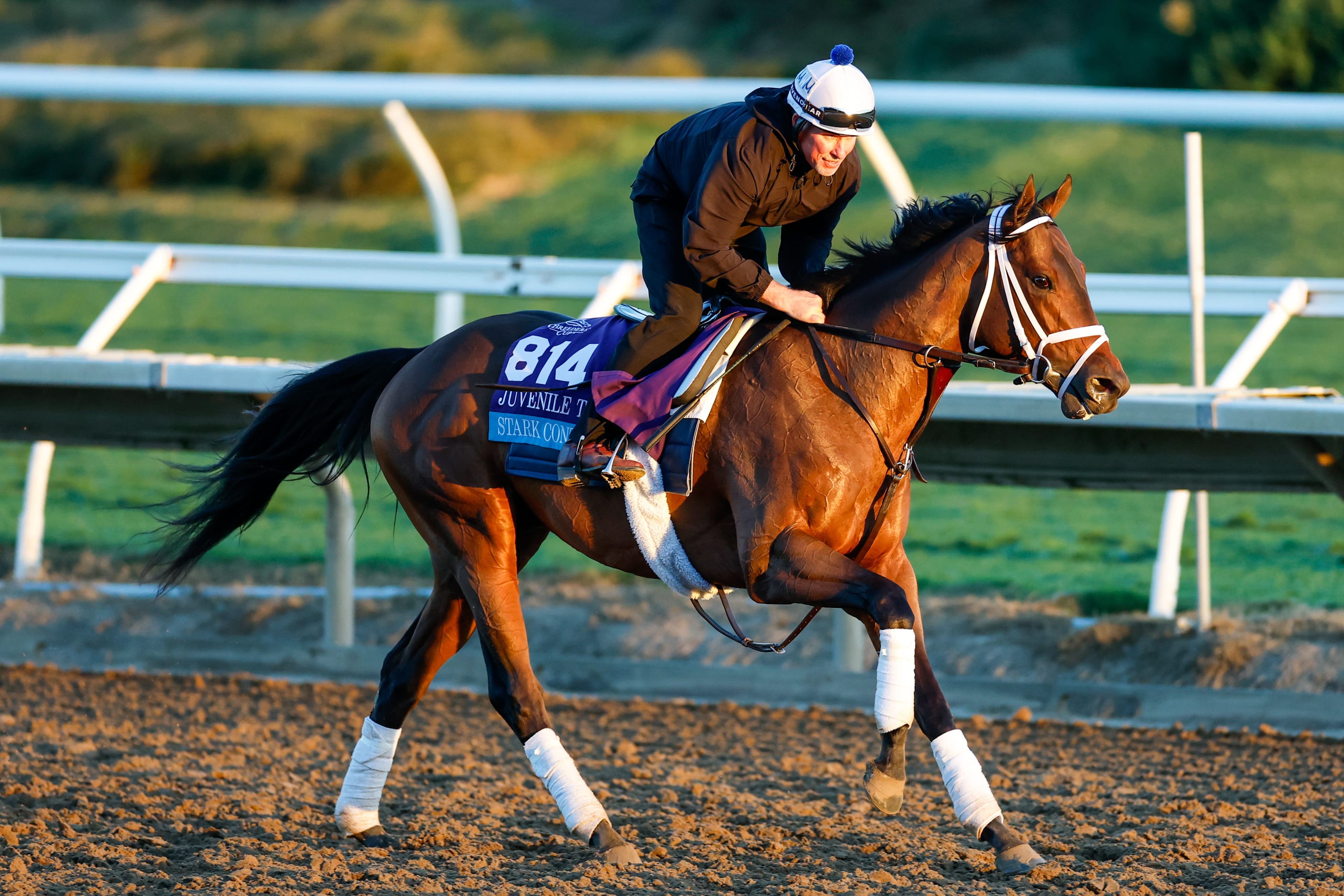Stark Contrast horse trainer, jockey, owner for Kentucky Derby 2026