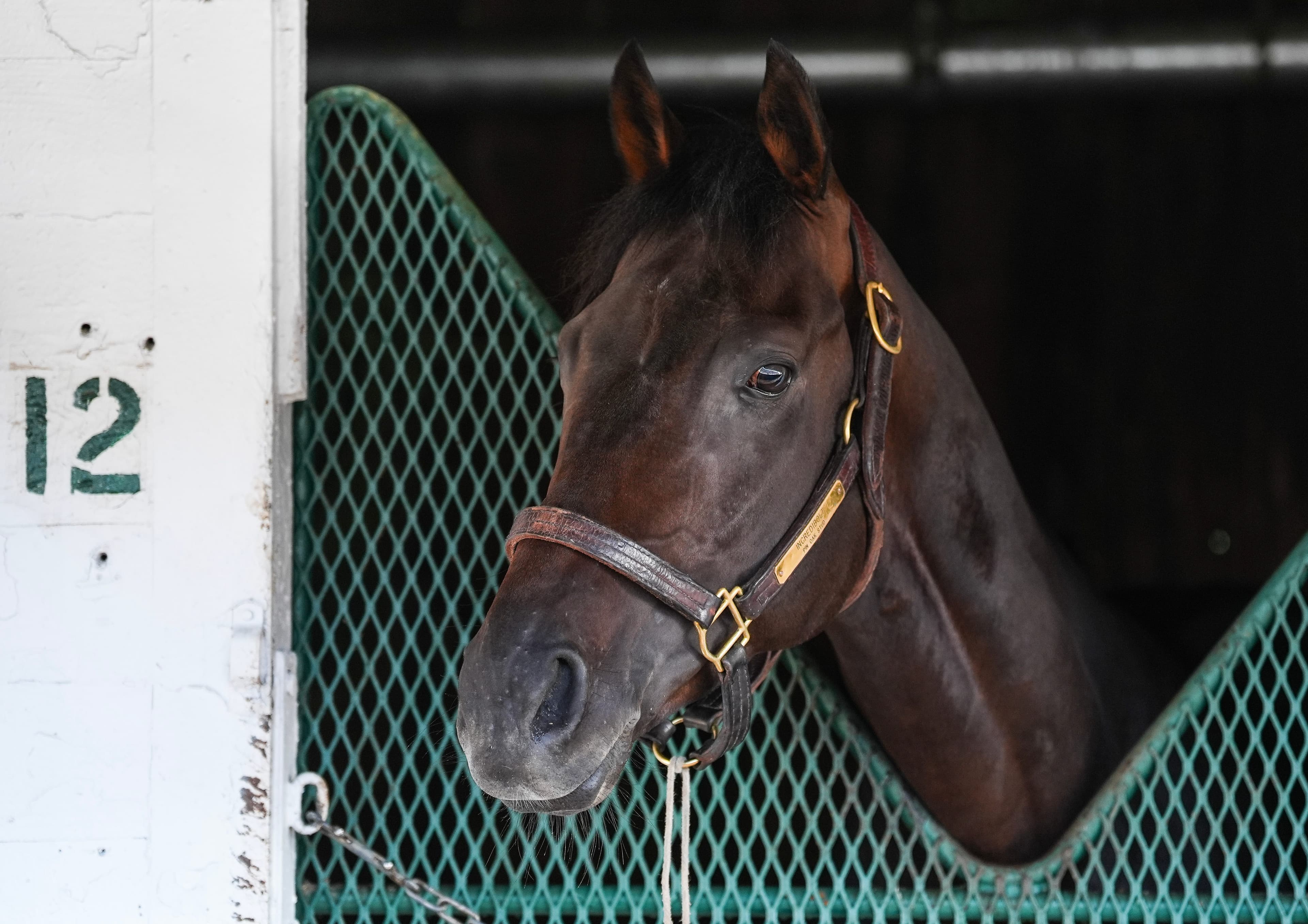 Meet Kentucky Derby 2026 owners, from Repole Stables to Wathnan Racing