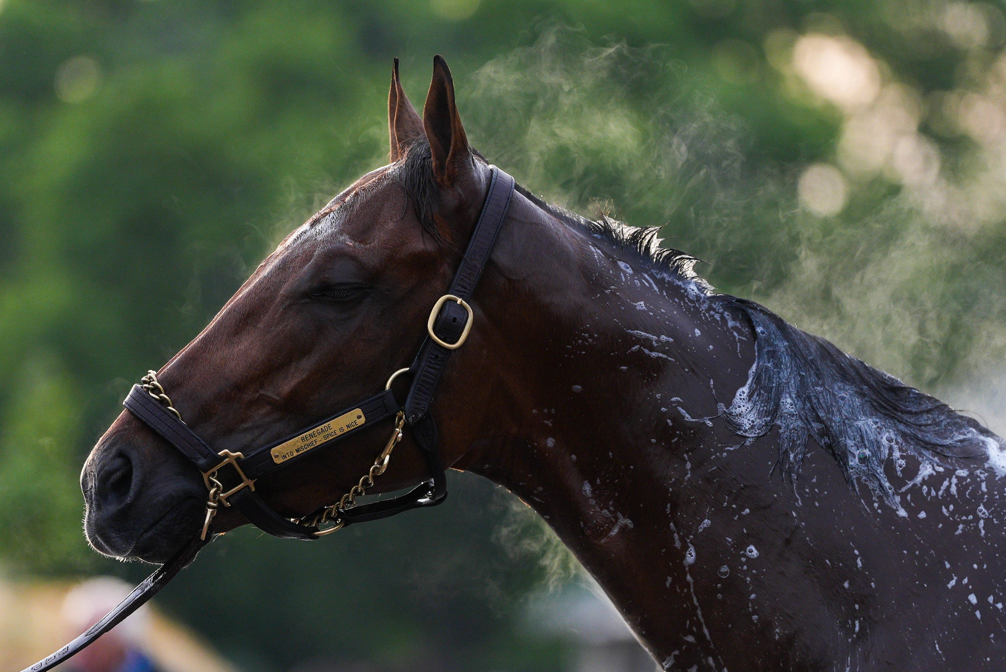 Kentucky Derby 2026 guide as Run for the Roses at Churchill Downs nears