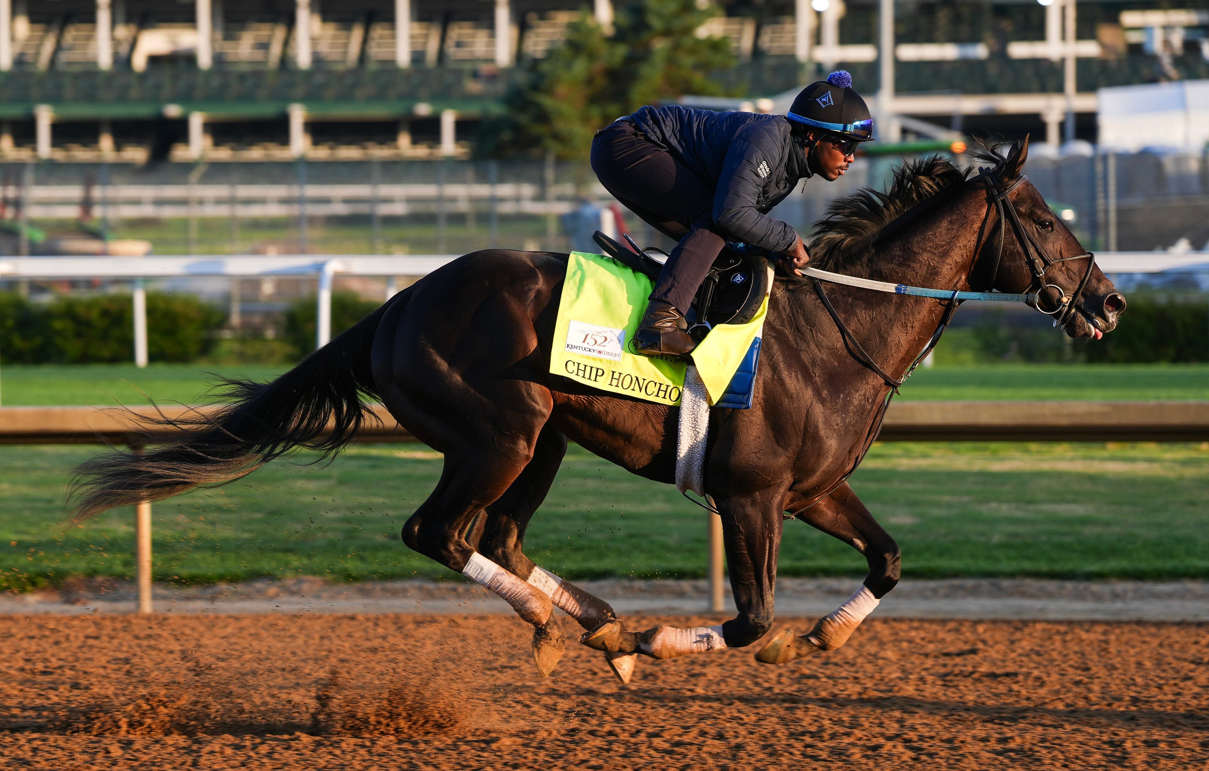 Who will run in Preakness 2026? Golden Tempo among horses to watch