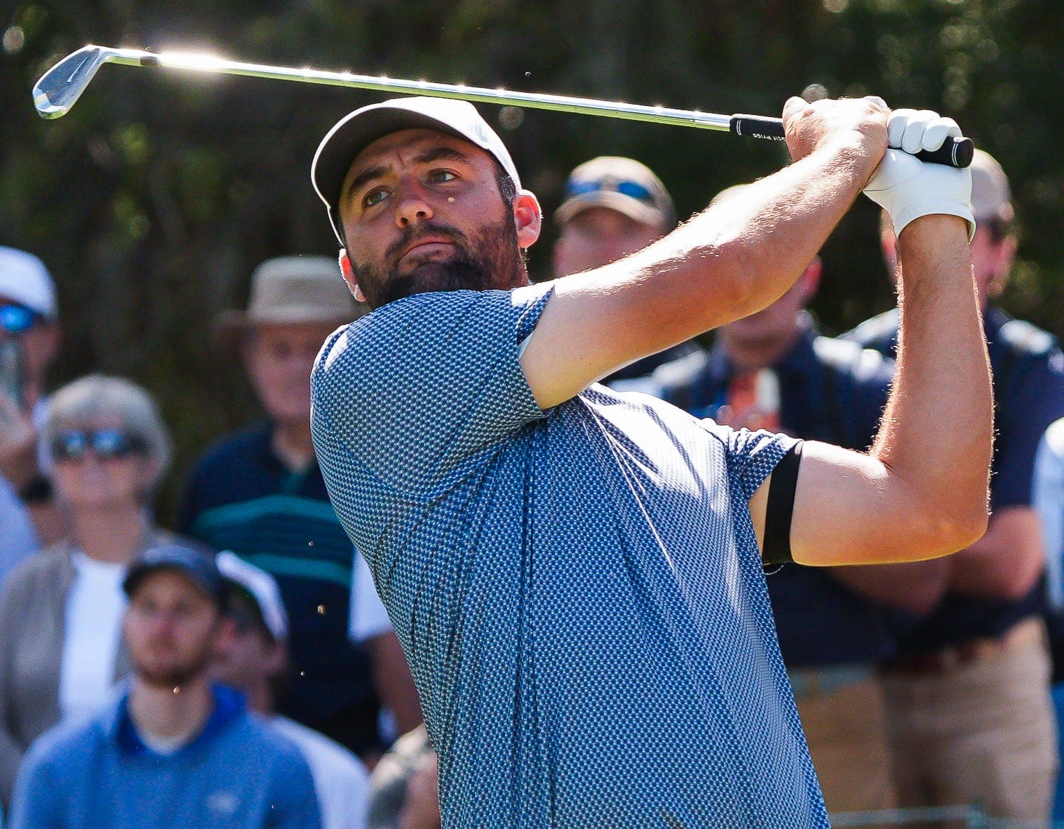 Scheffler's Perfect 54 Hole Show Stuns PGA Champions