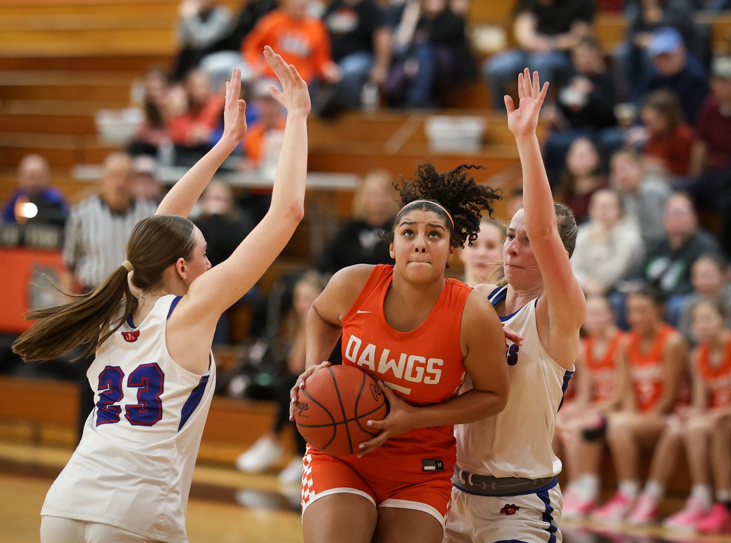 Final statistics for Monroe County Region girls basketball teams