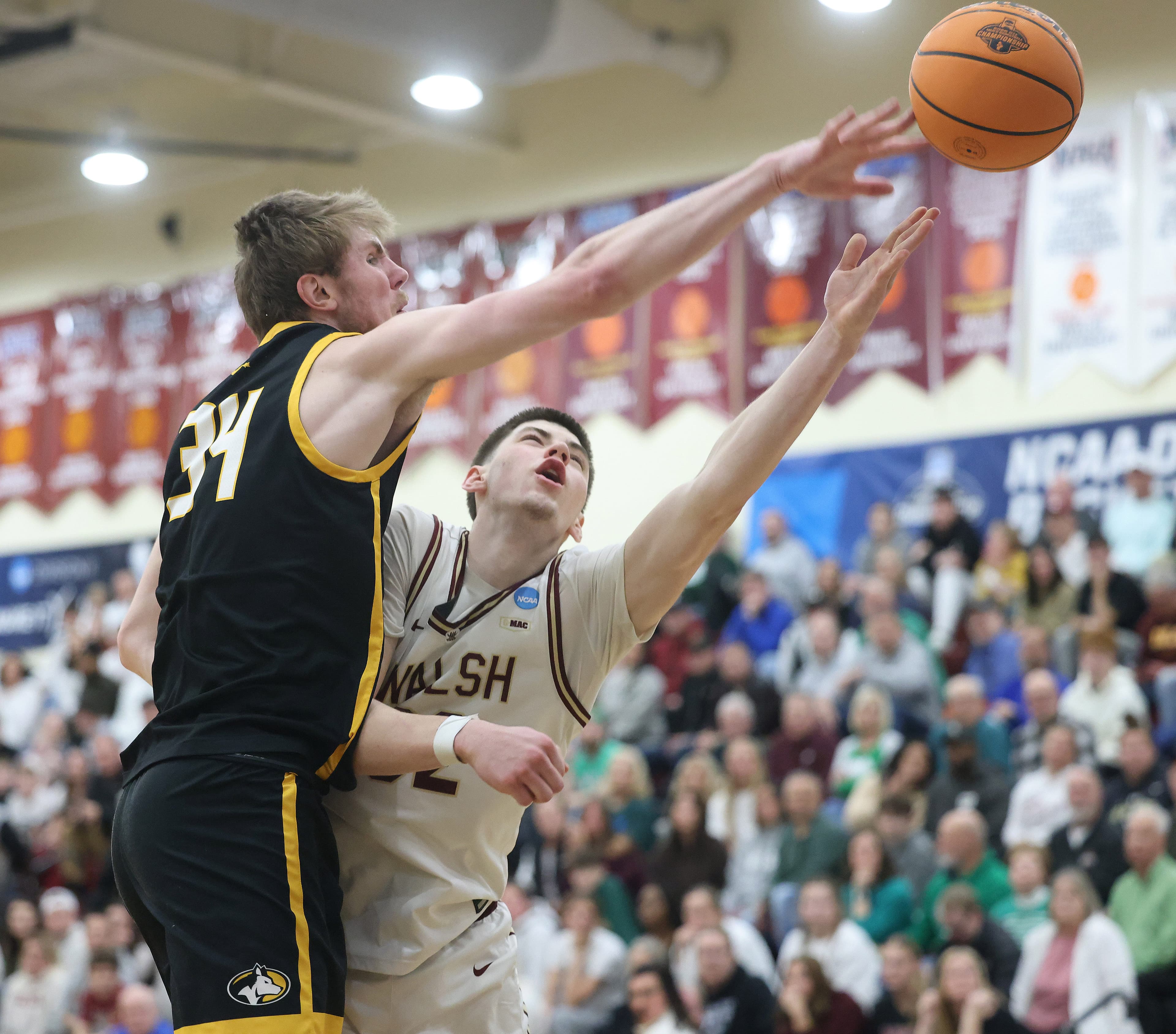 Walsh University basketball player Brayden Gross hits transfer portal