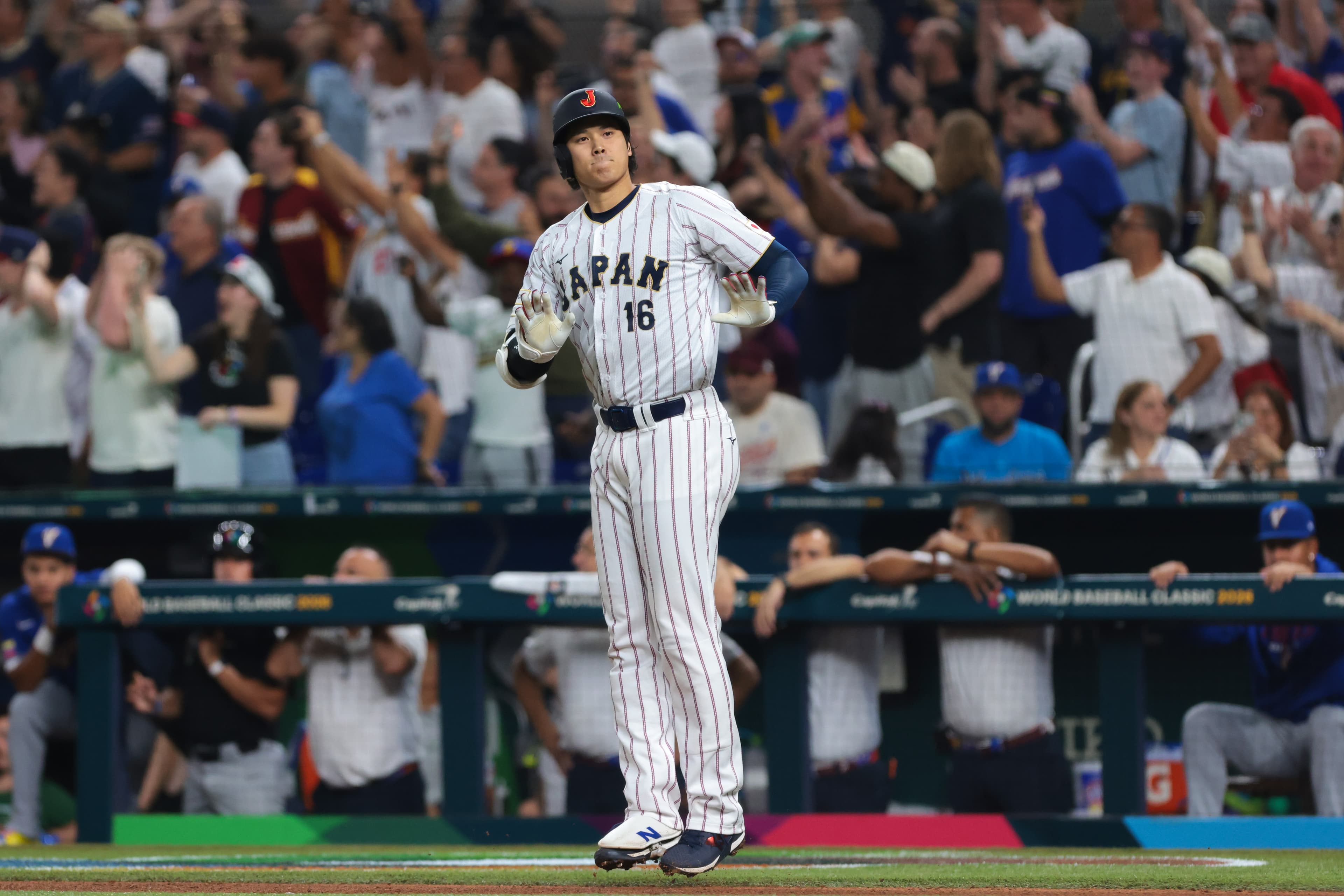 Shohei Ohtani WBC jersey sold for enormous price at auction